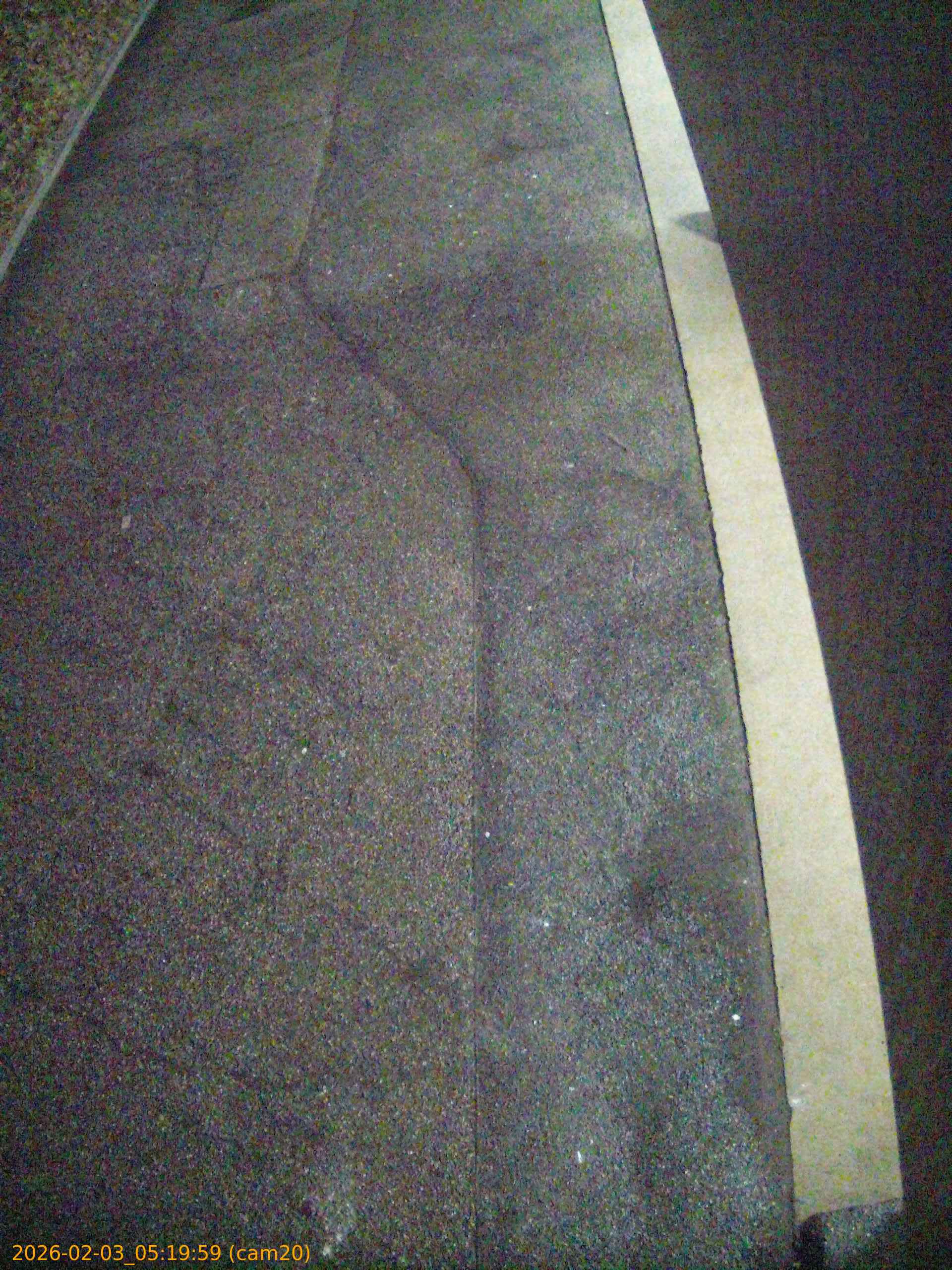 thumbnail_202602030519