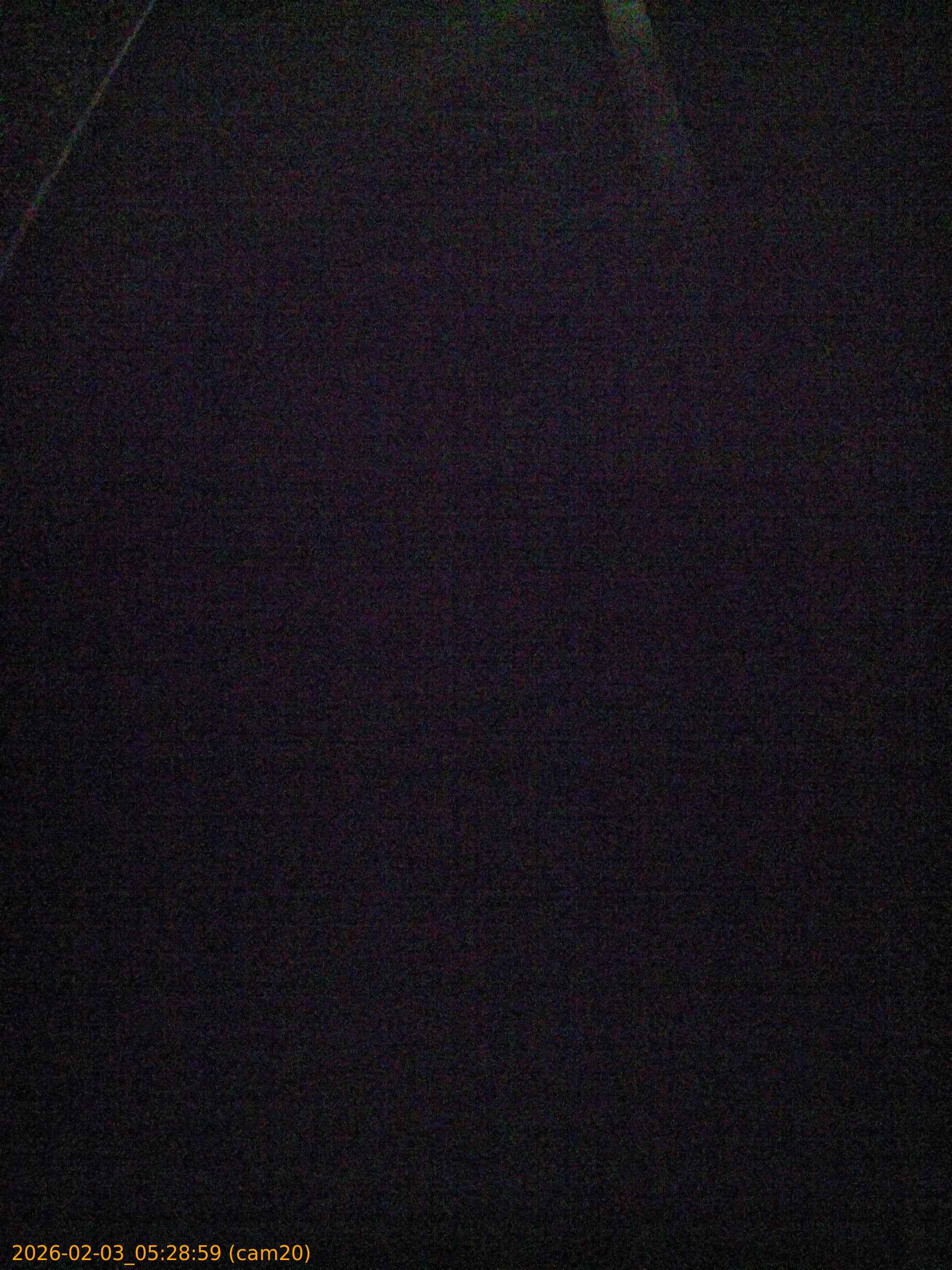 thumbnail_202602030528