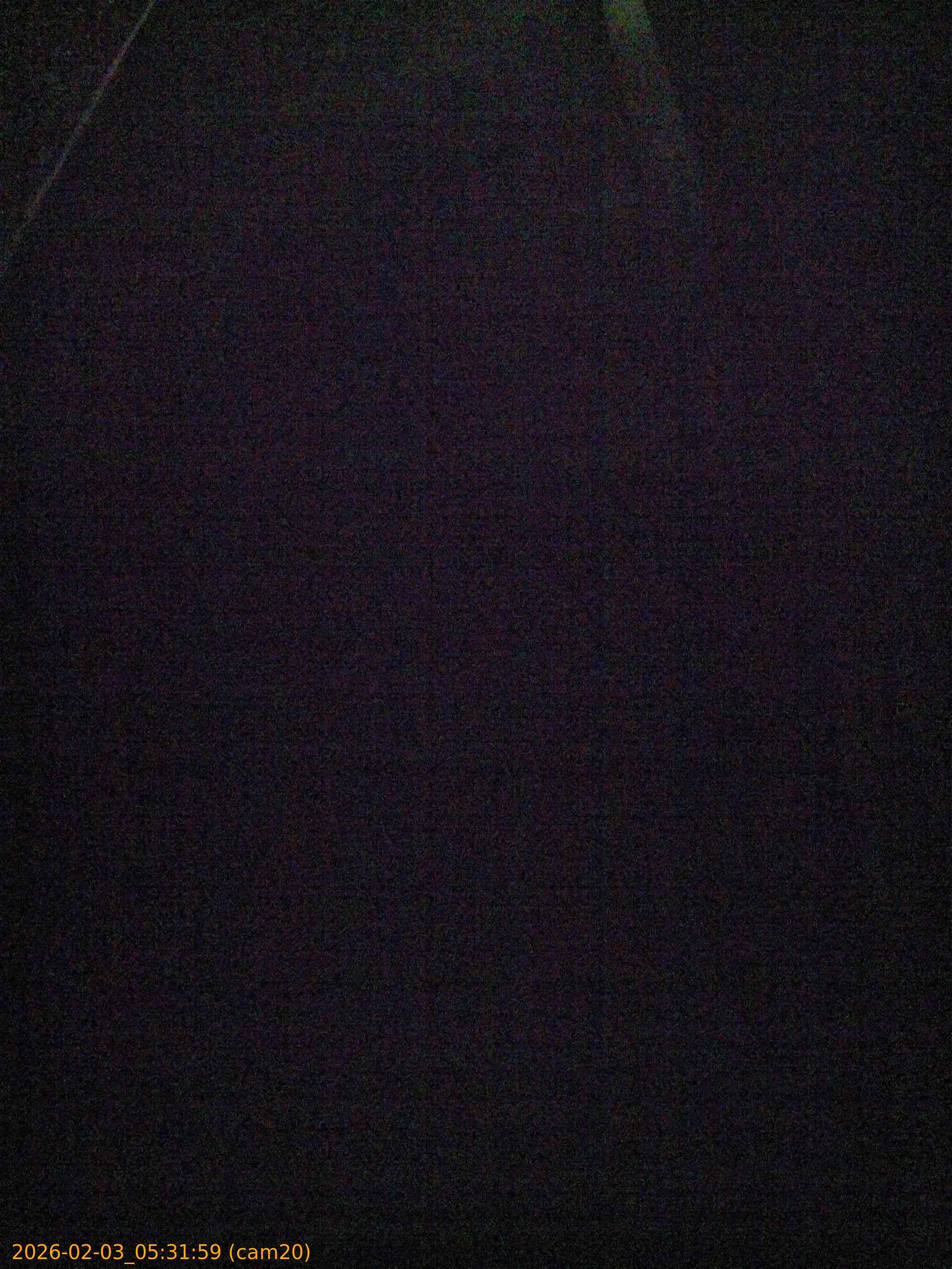 thumbnail_202602030531