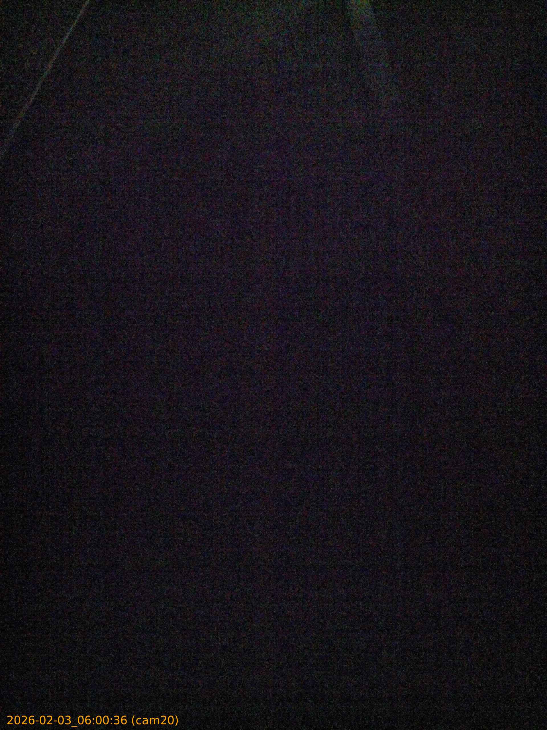 thumbnail_20260203060036