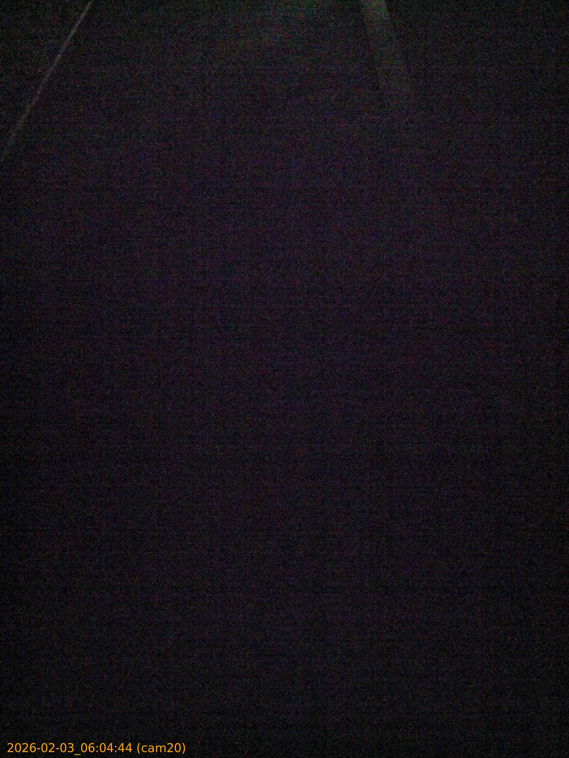 thumbnail_20260203060444