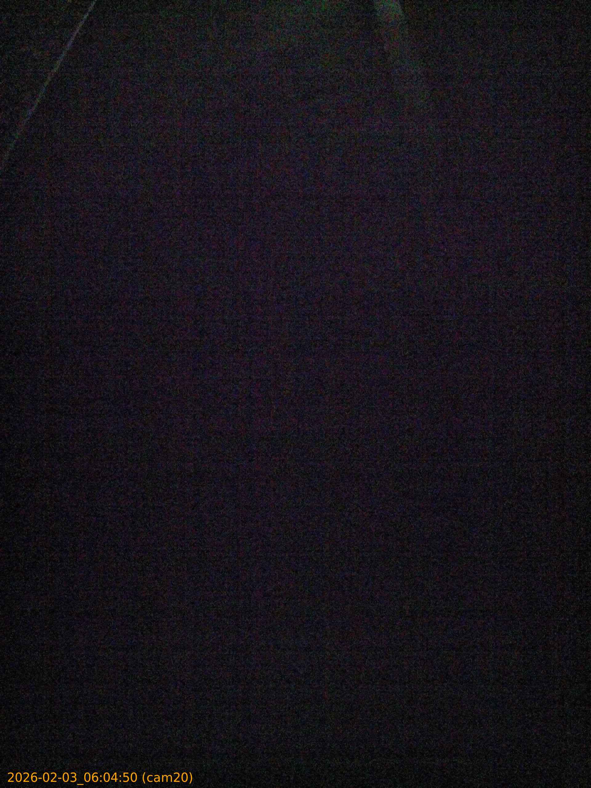 thumbnail_20260203060450