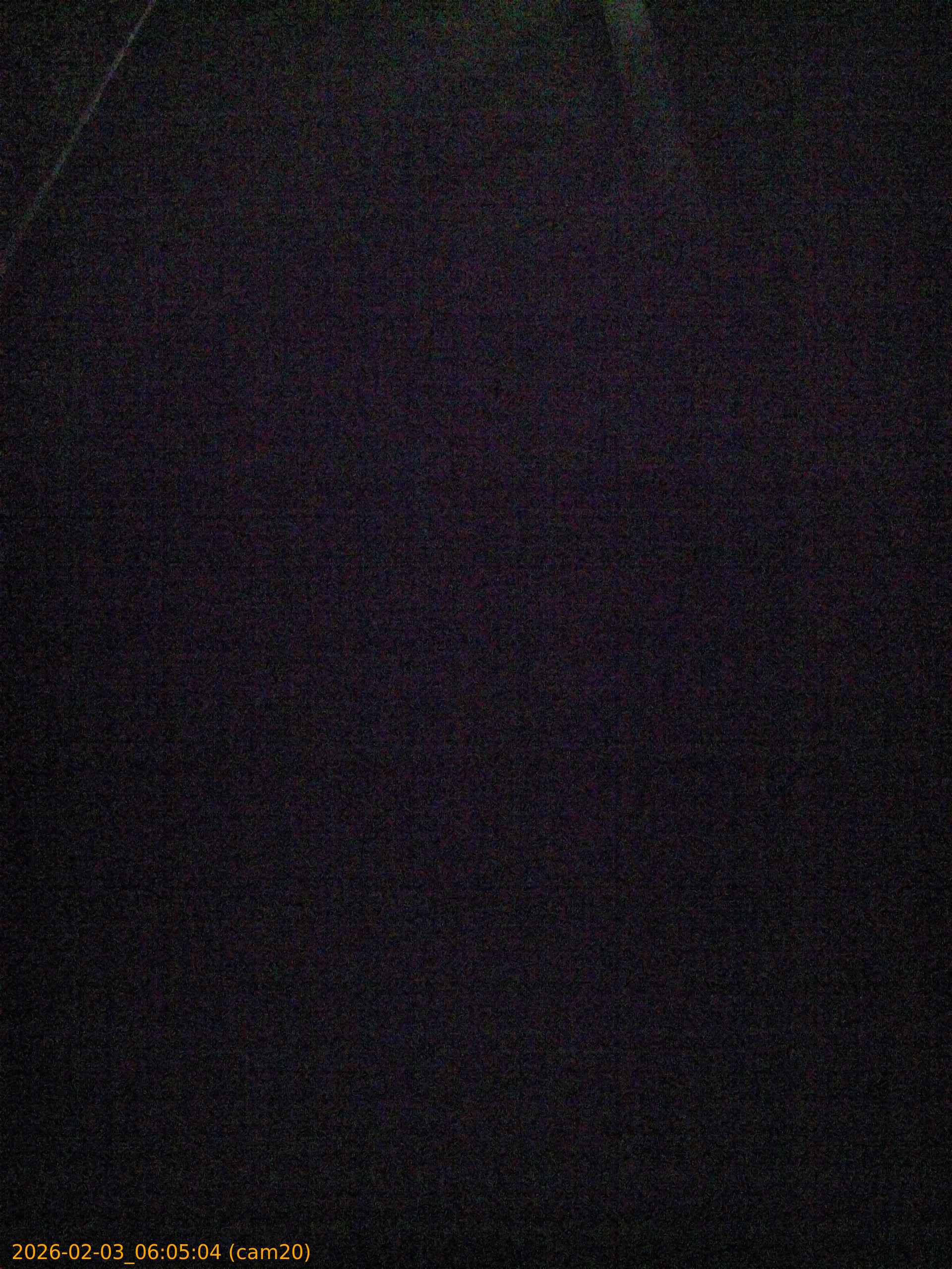 thumbnail_20260203060504