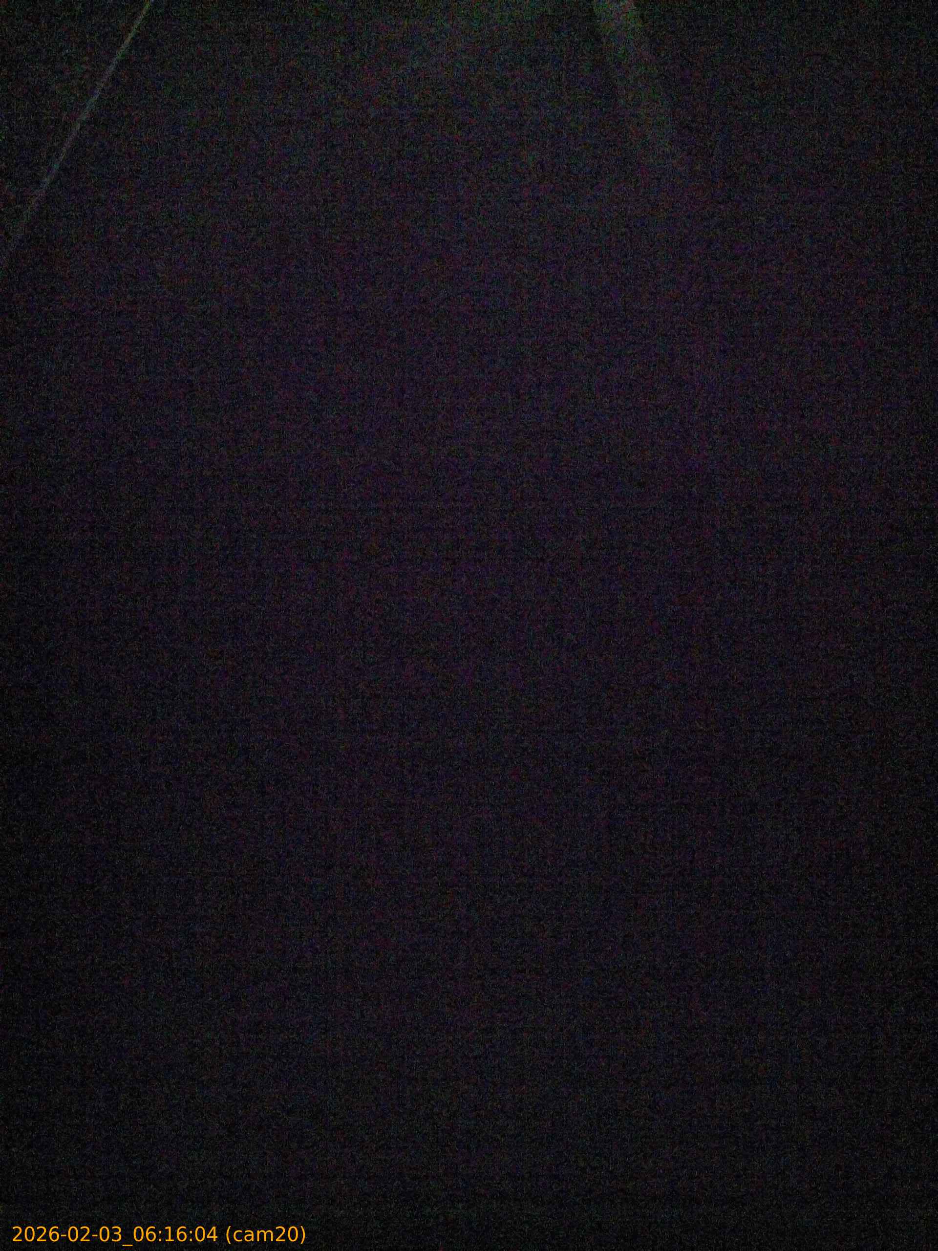 thumbnail_20260203061604