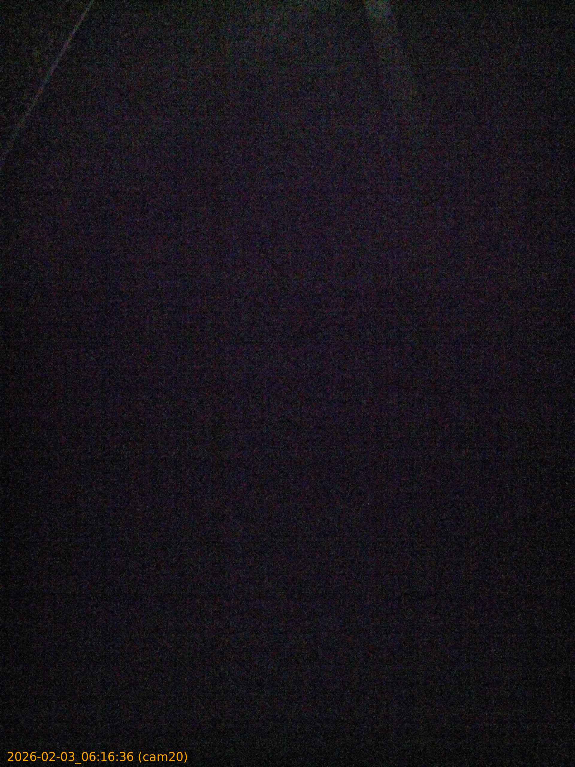 thumbnail_20260203061636