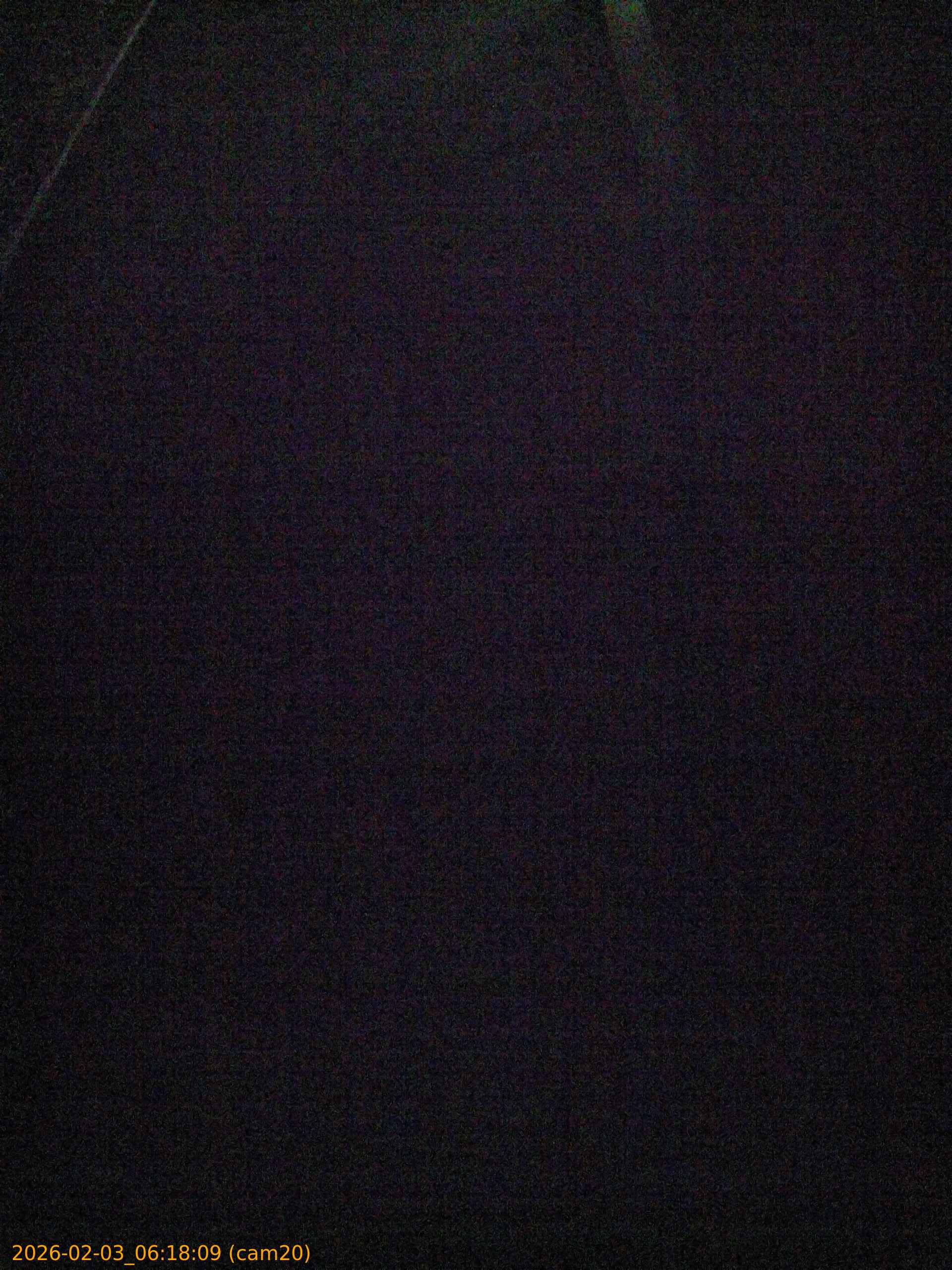 thumbnail_20260203061809