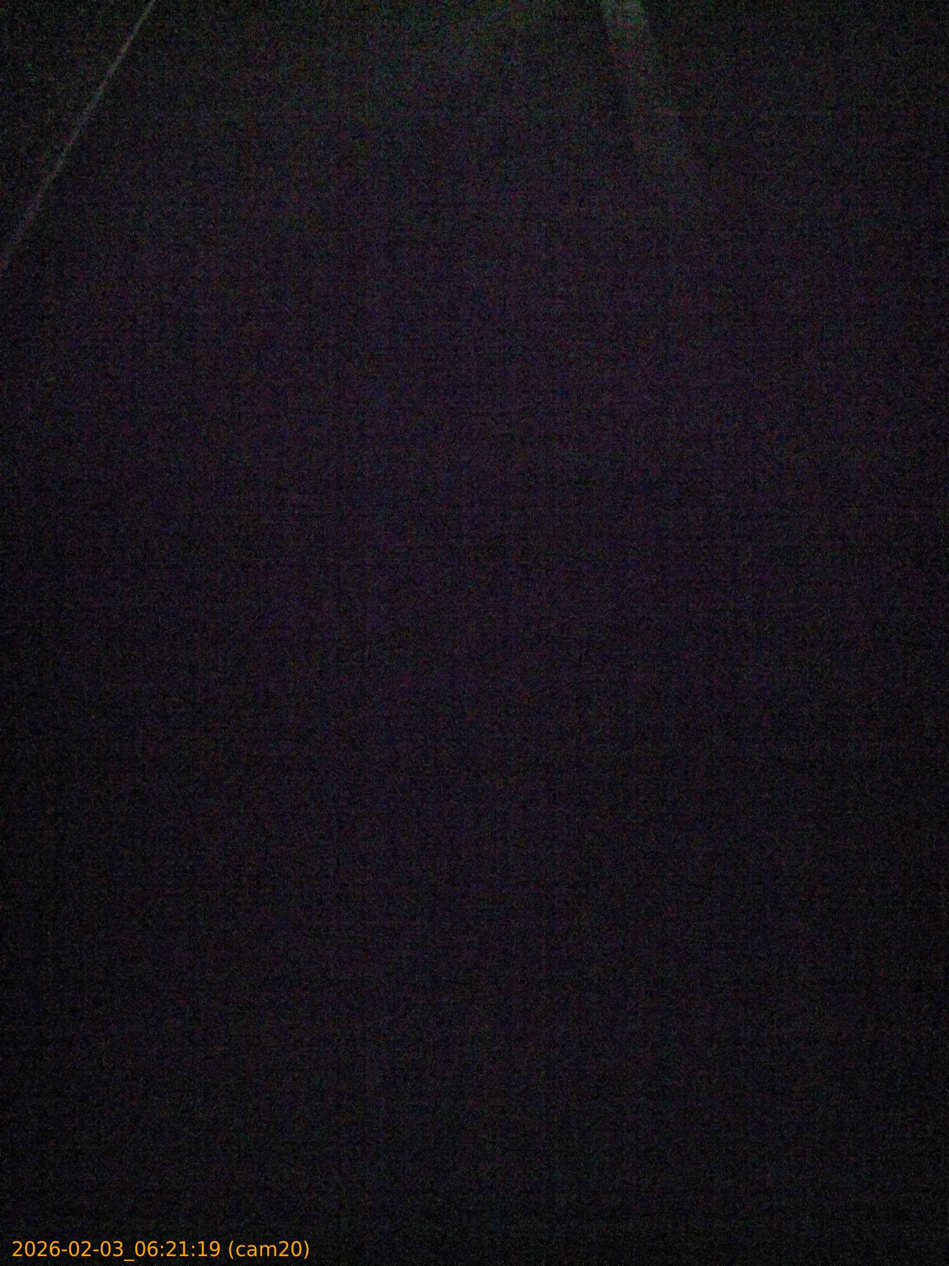20260203062119