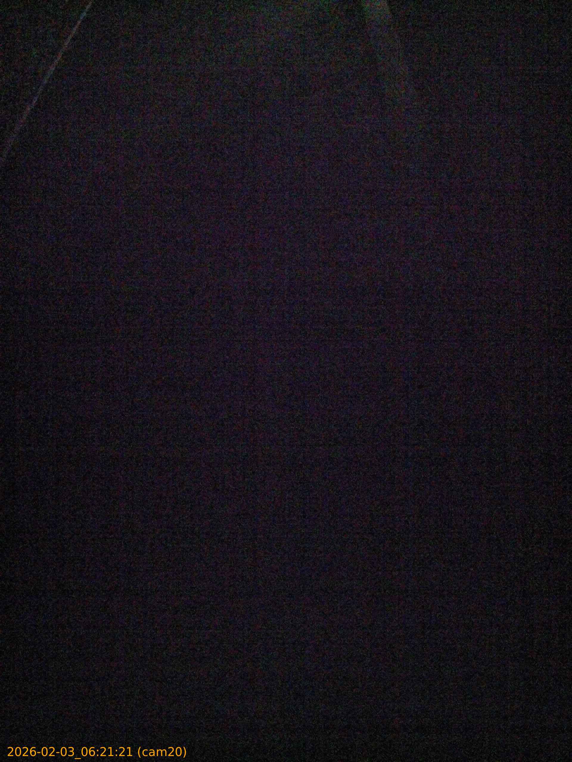 thumbnail_20260203062121