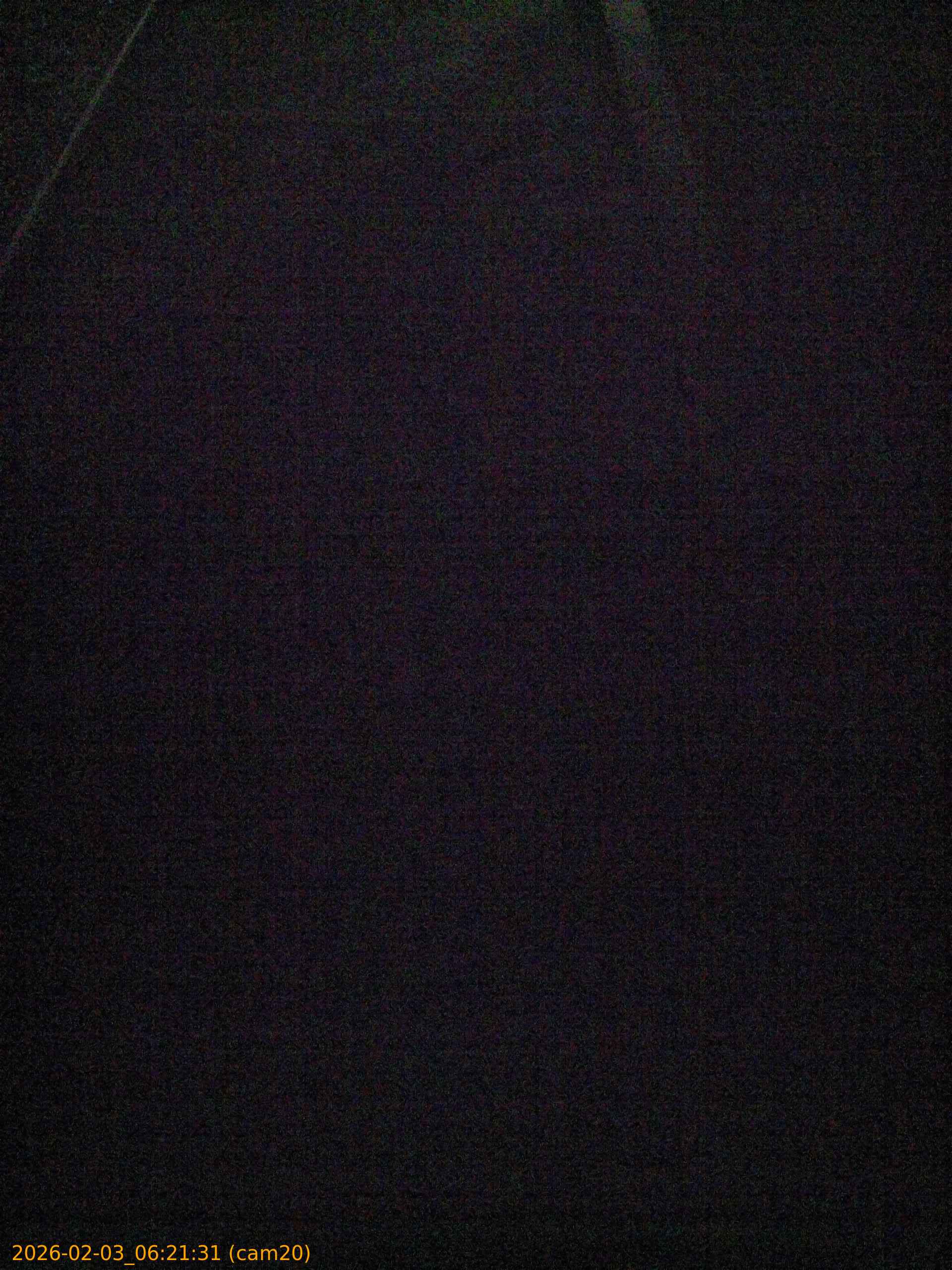 thumbnail_20260203062131