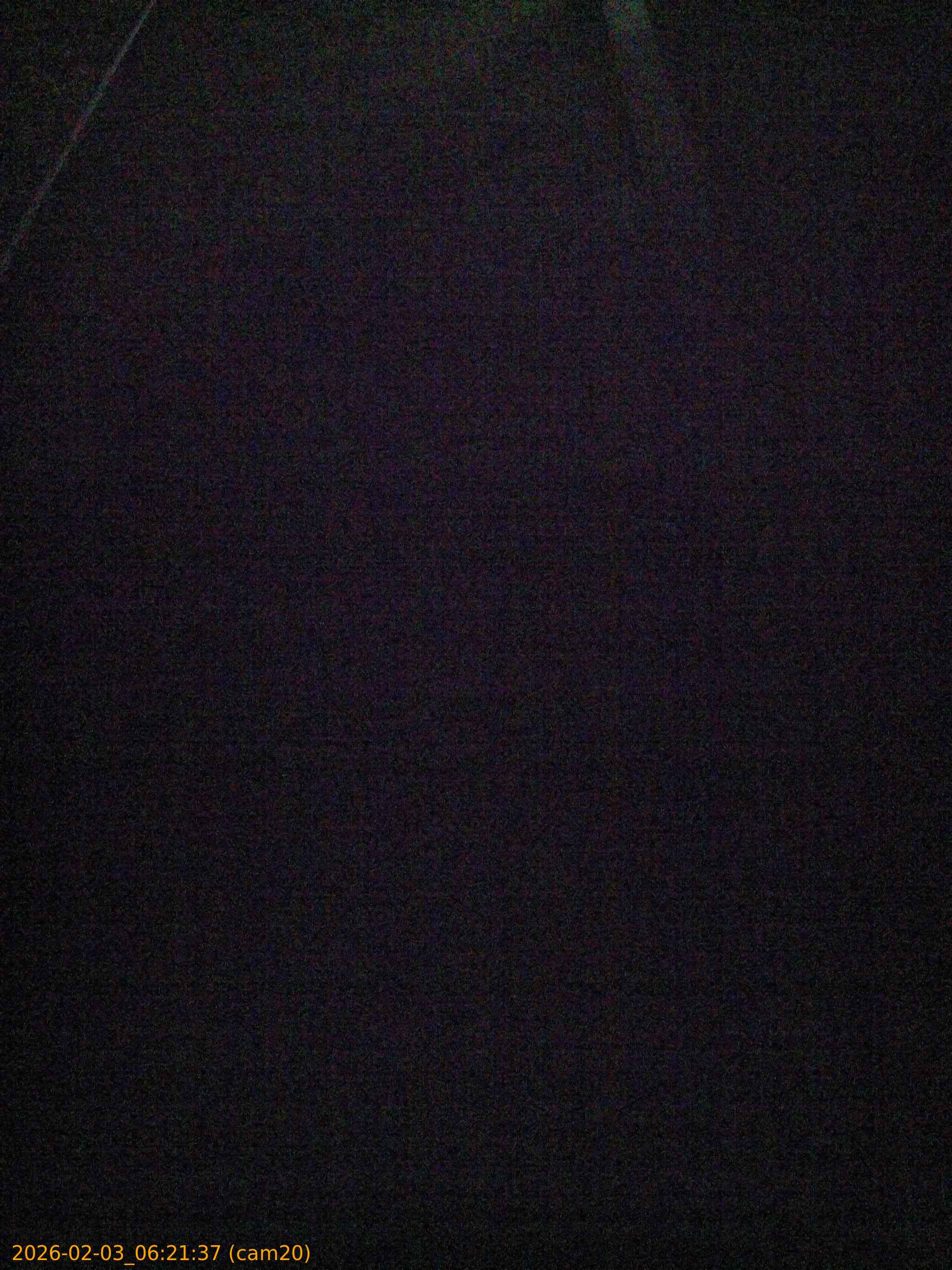 thumbnail_20260203062137