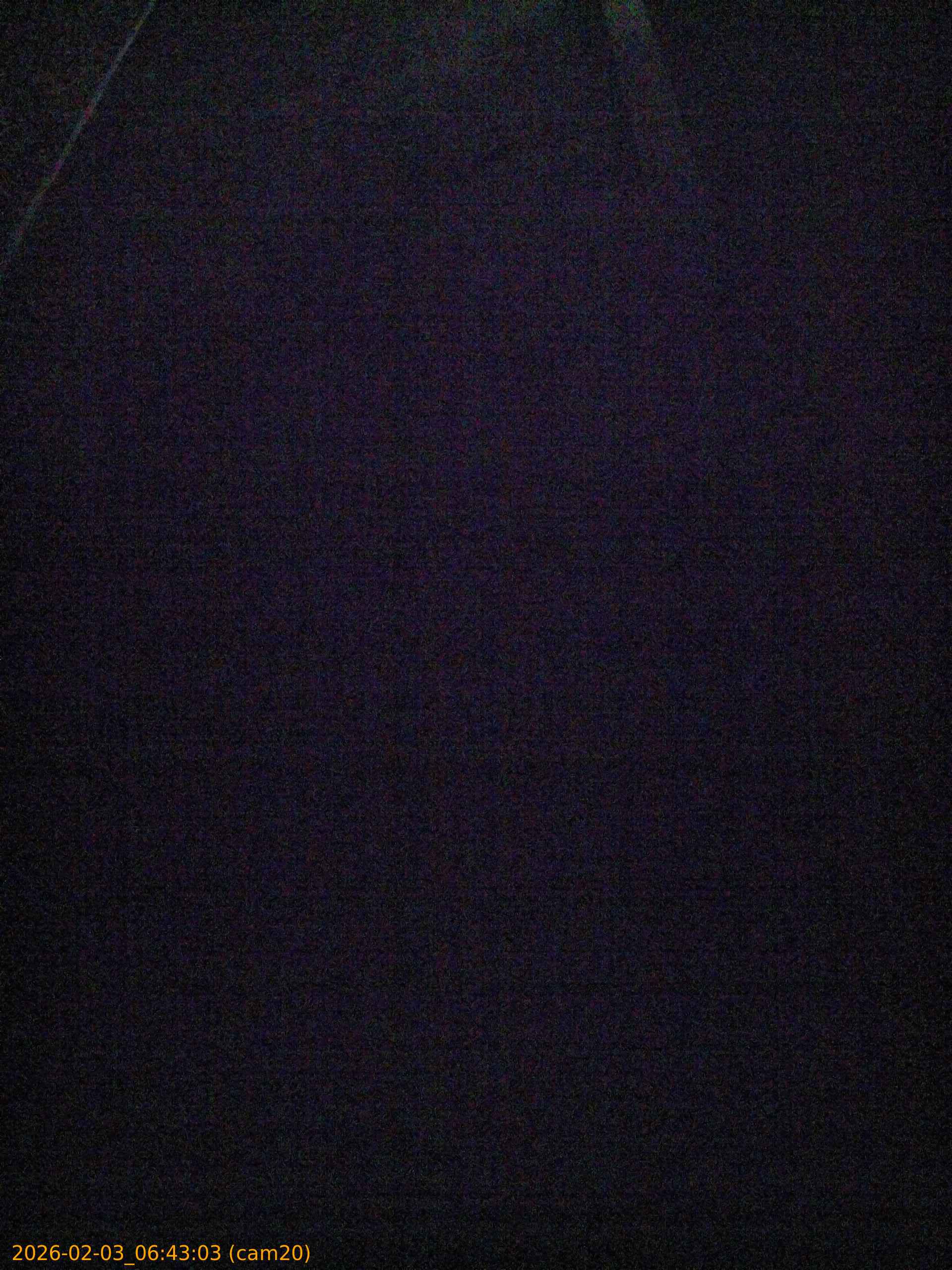 thumbnail_20260203064303