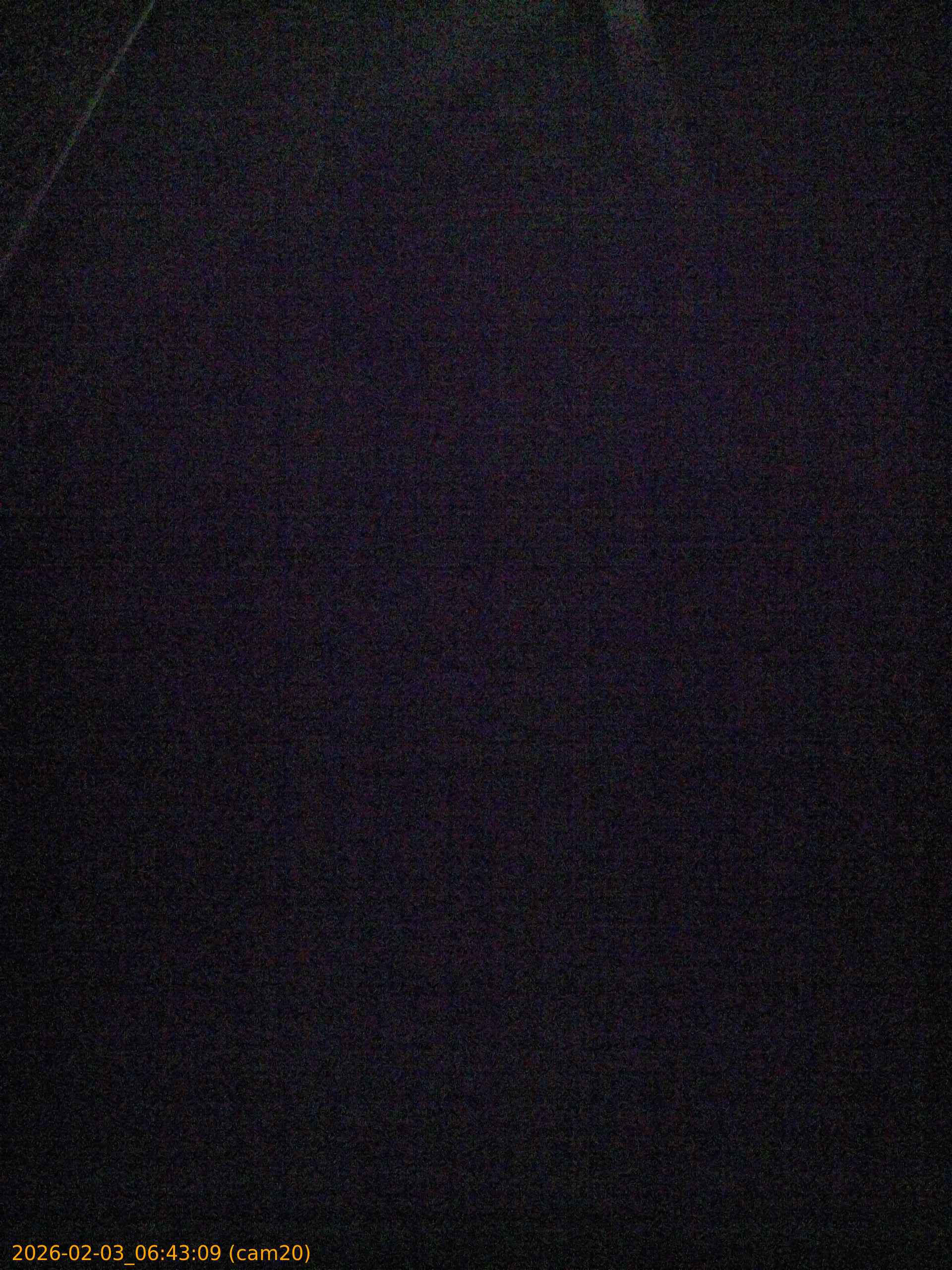 thumbnail_20260203064309