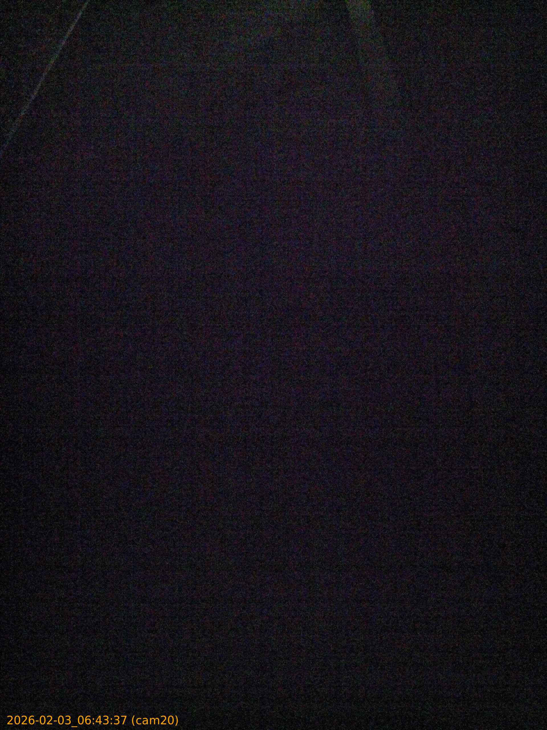 thumbnail_20260203064337