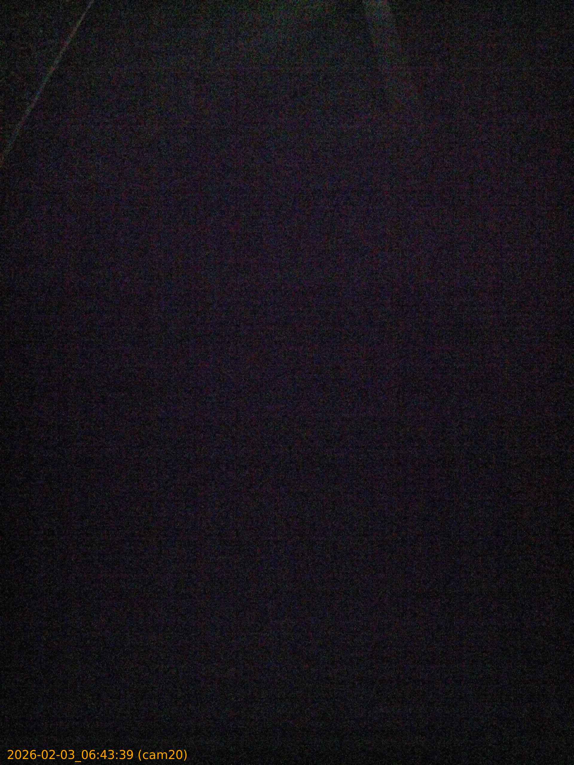 thumbnail_20260203064339