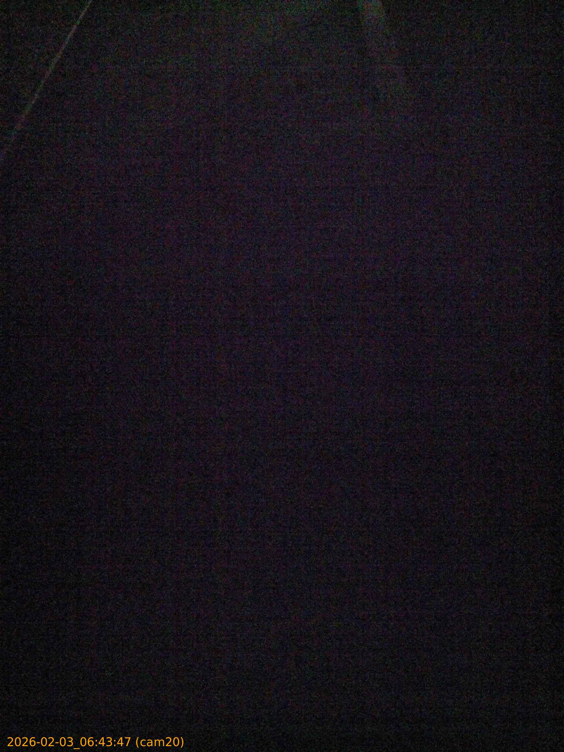 thumbnail_20260203064347