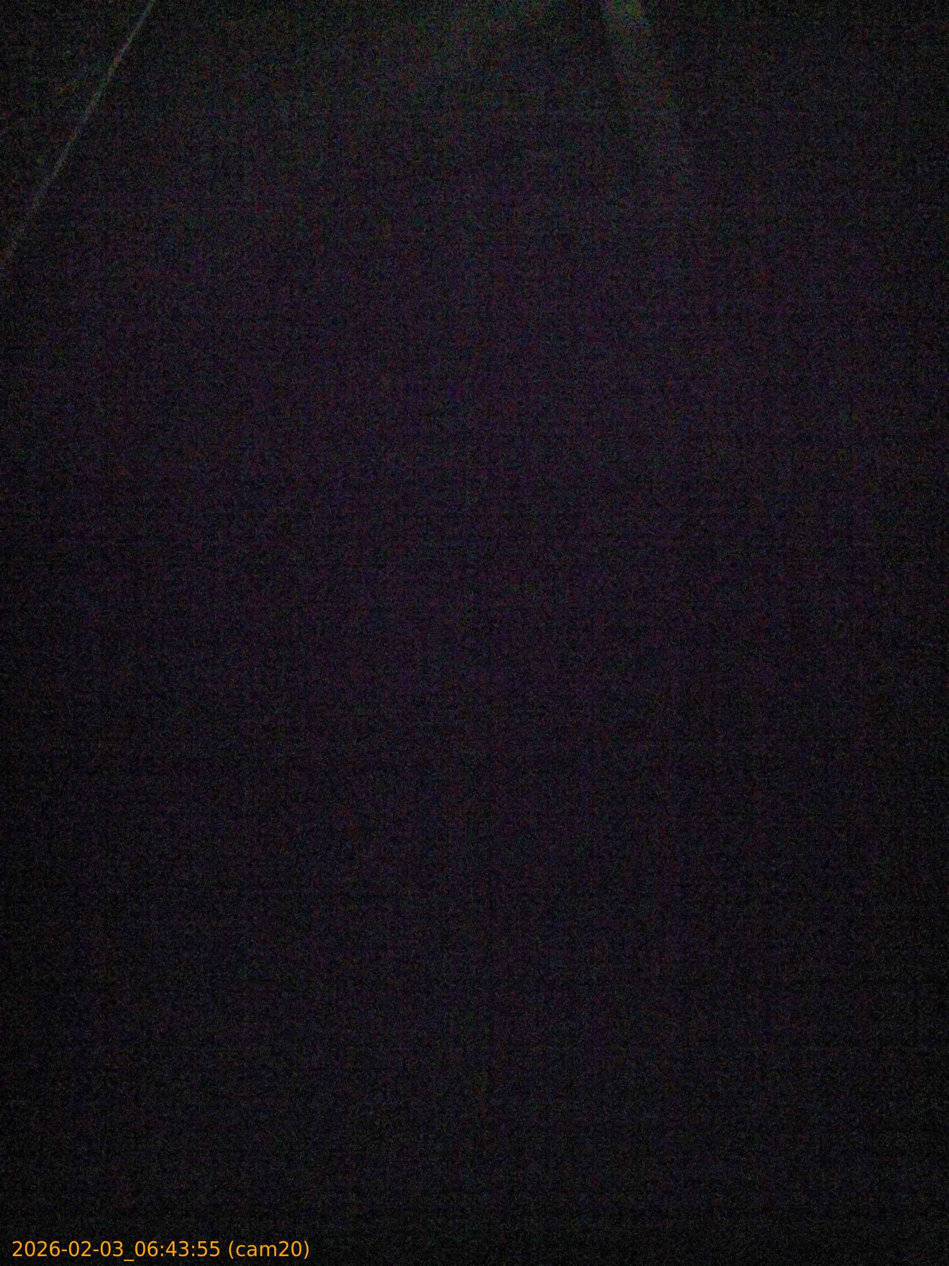 thumbnail_20260203064355