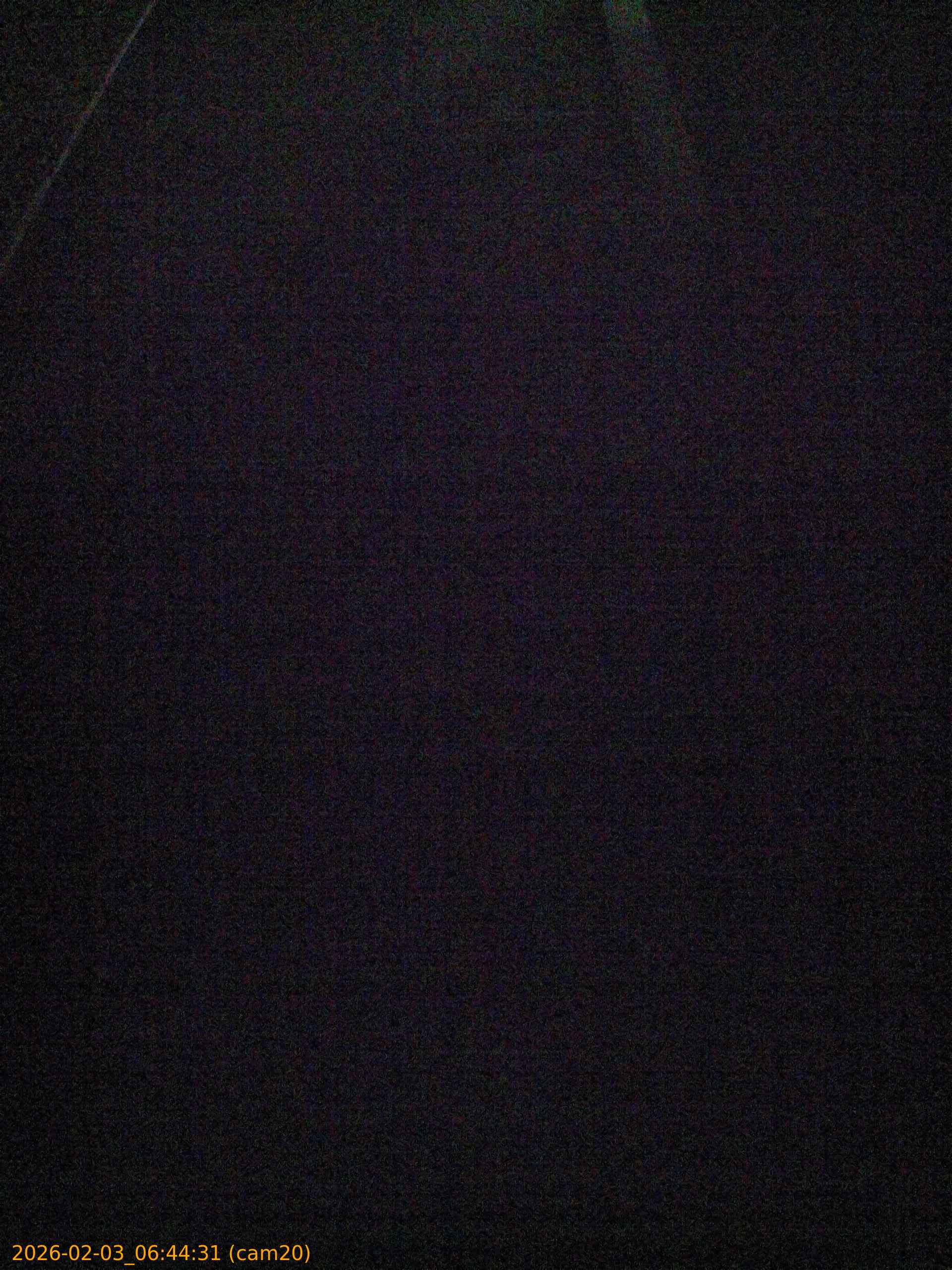 thumbnail_20260203064431