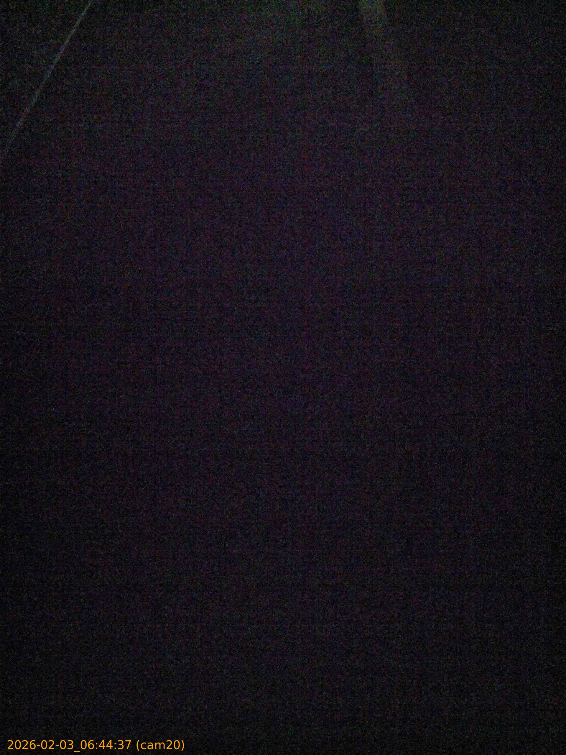 thumbnail_20260203064437