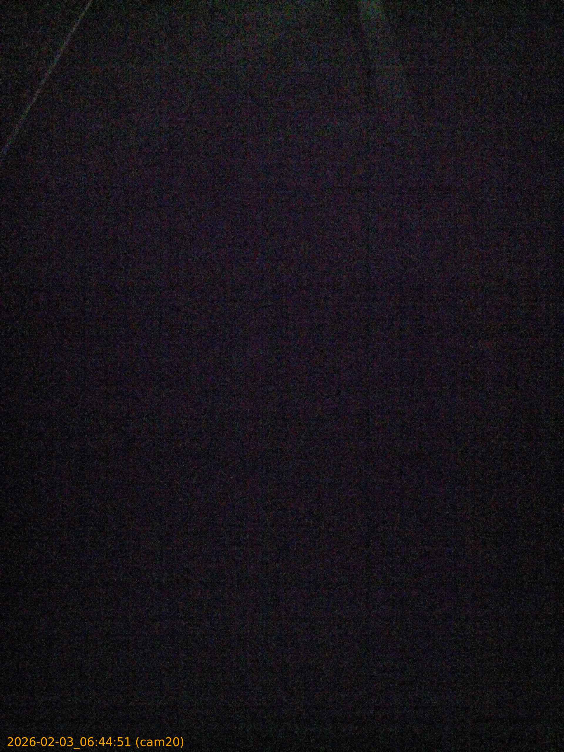 thumbnail_20260203064451