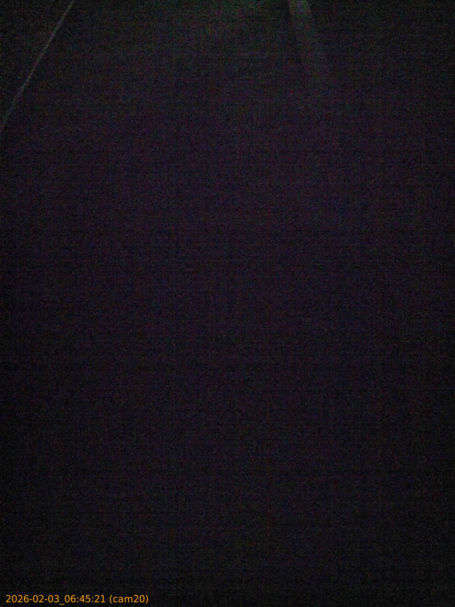 thumbnail_20260203064521