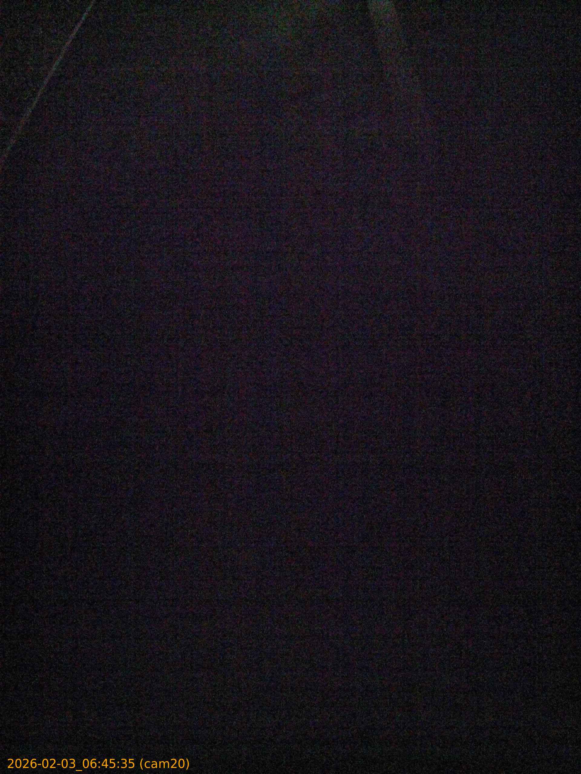 thumbnail_20260203064535