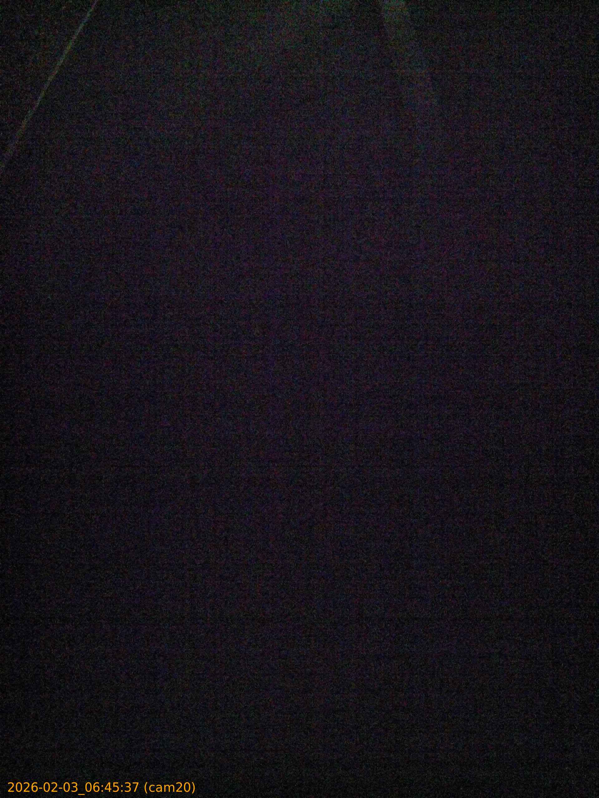 thumbnail_20260203064537