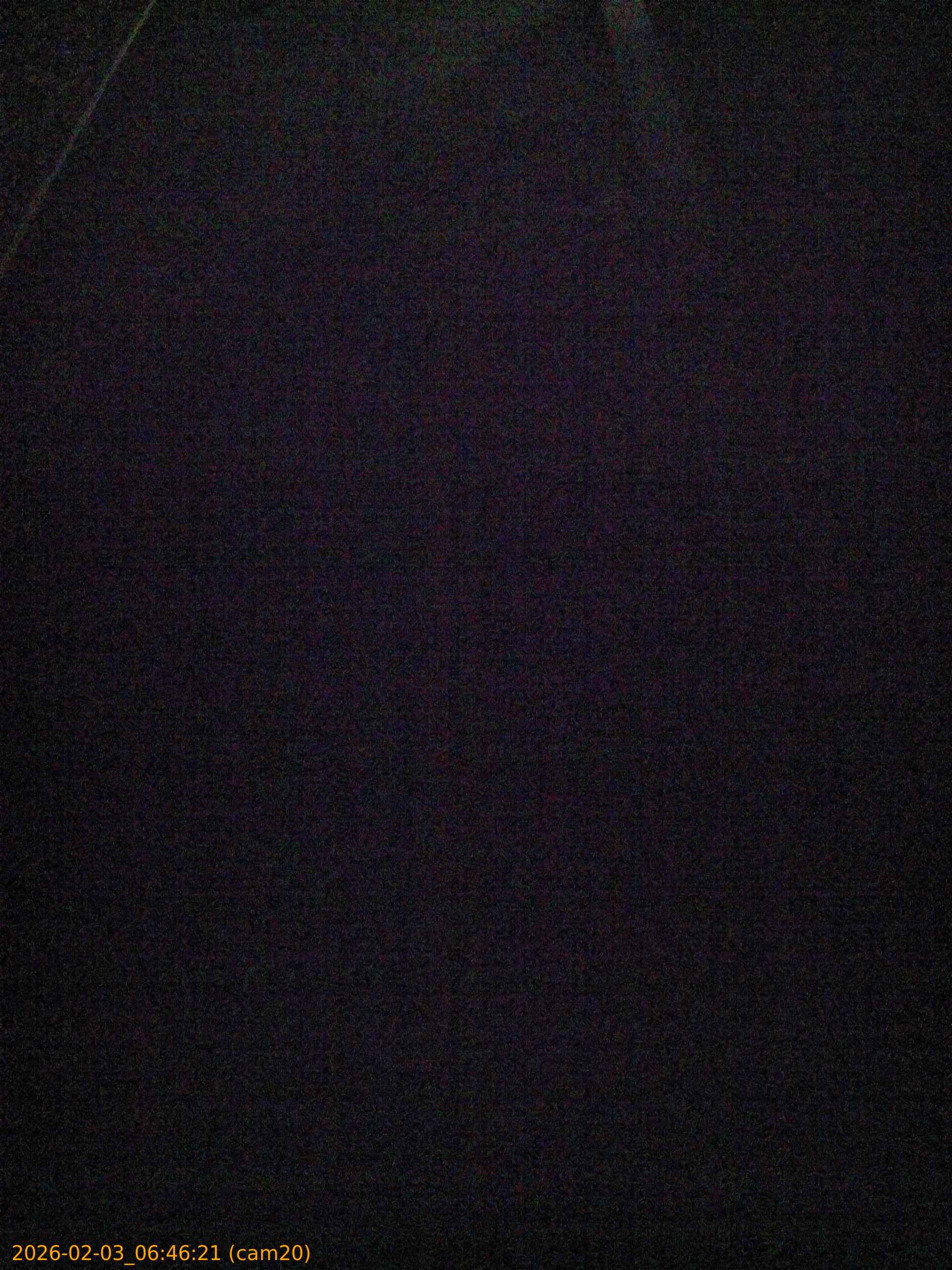 thumbnail_20260203064621