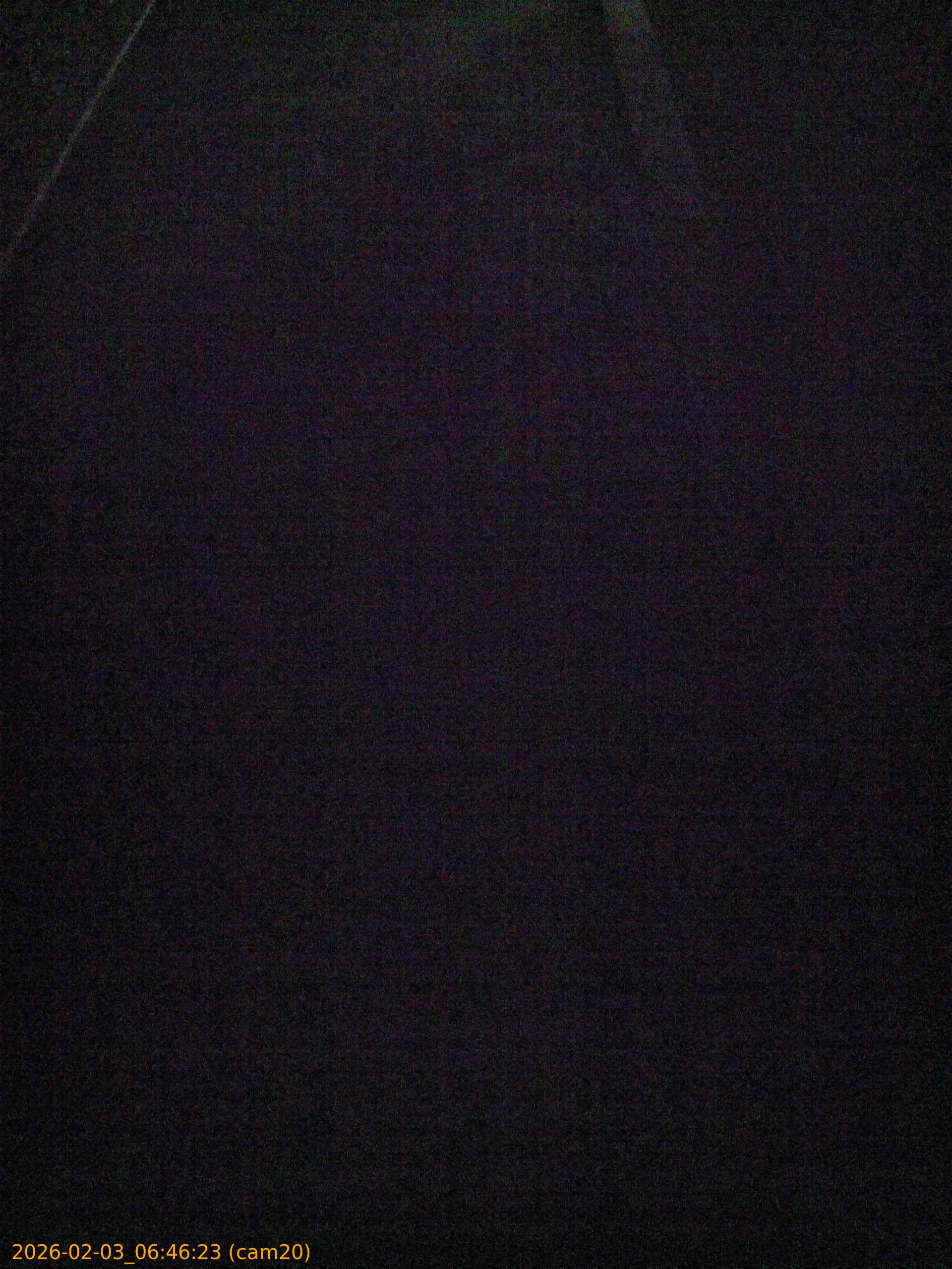 thumbnail_20260203064623