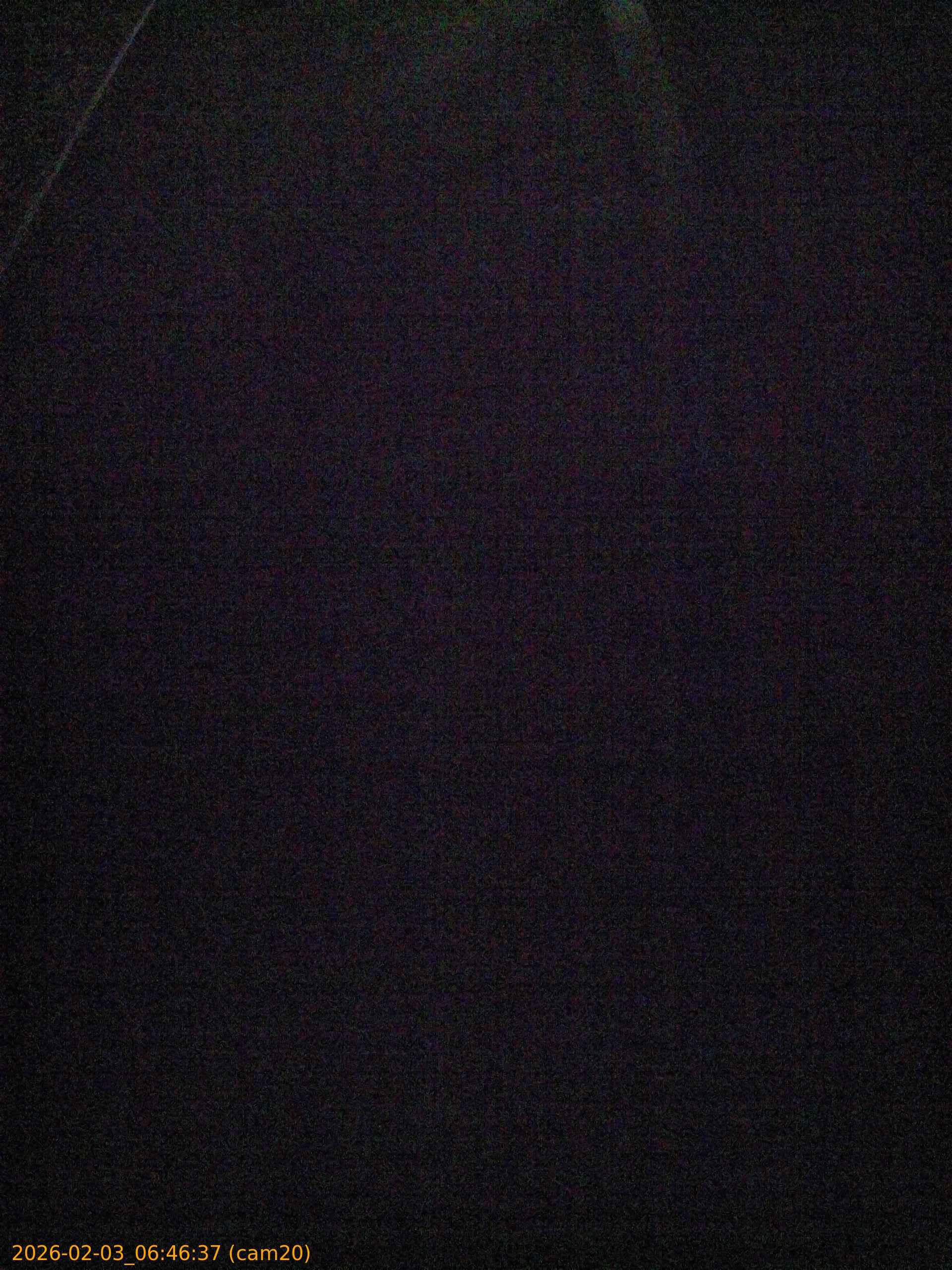 thumbnail_20260203064637