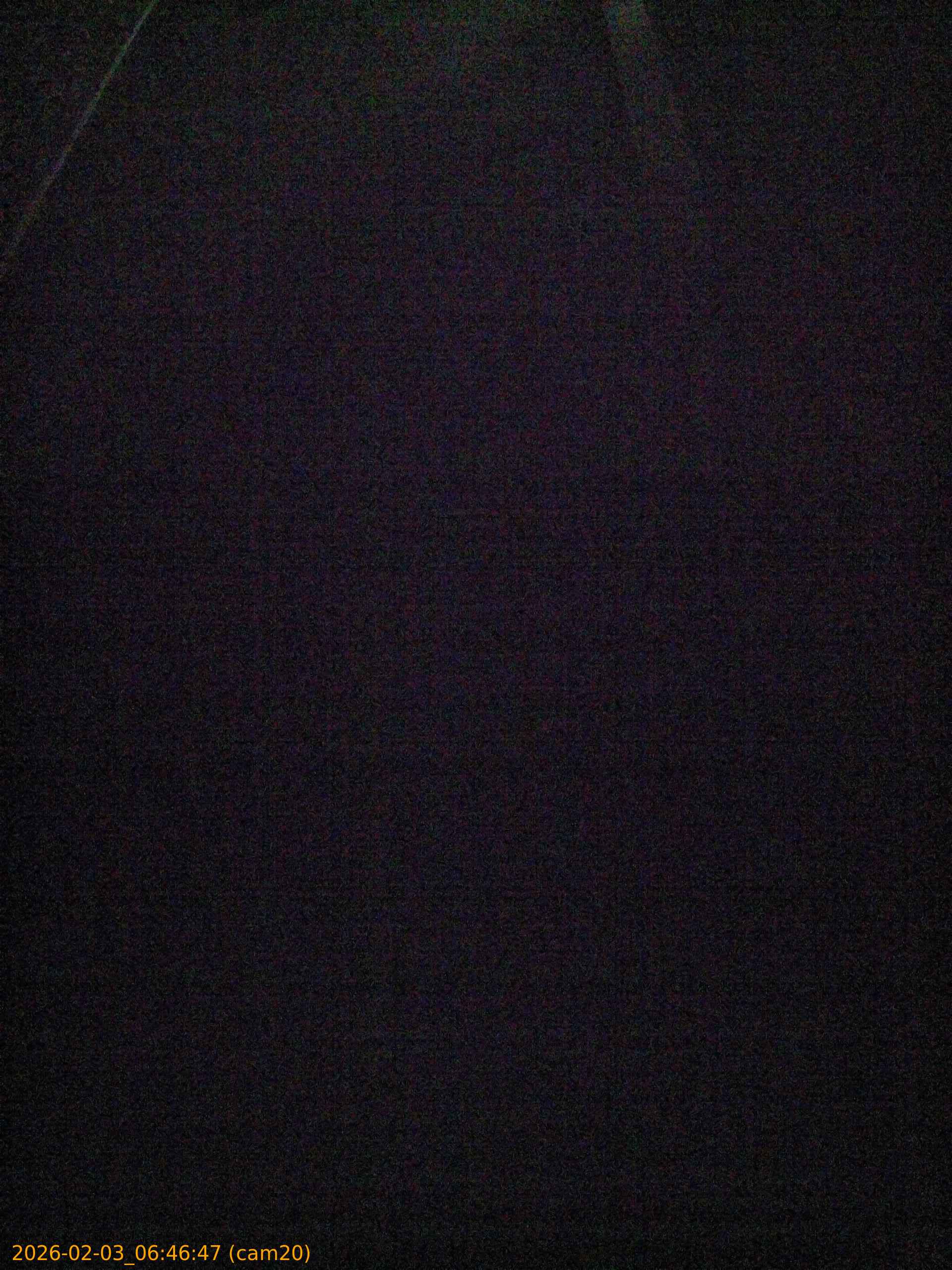 thumbnail_20260203064647