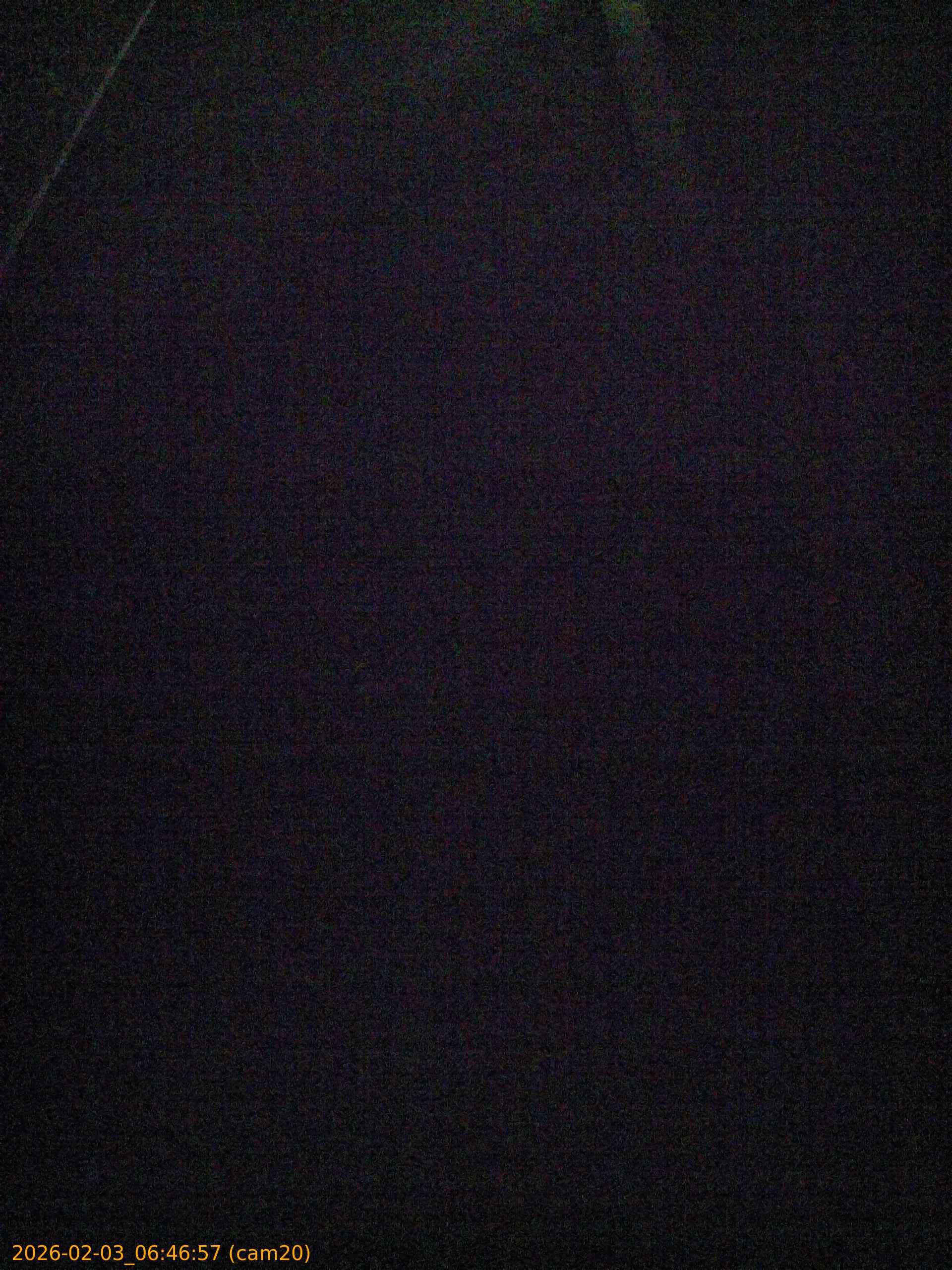 thumbnail_20260203064657