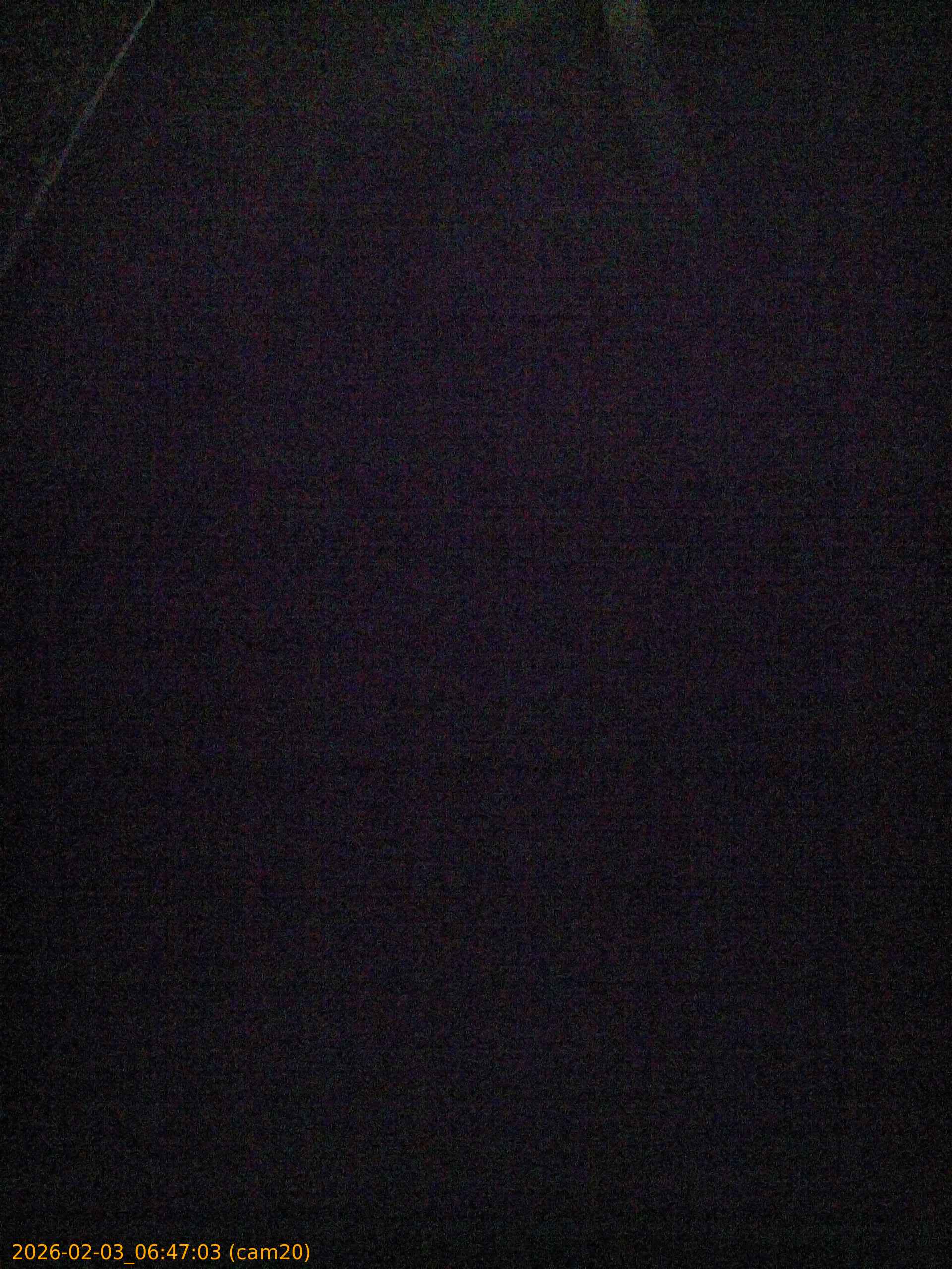 thumbnail_20260203064703