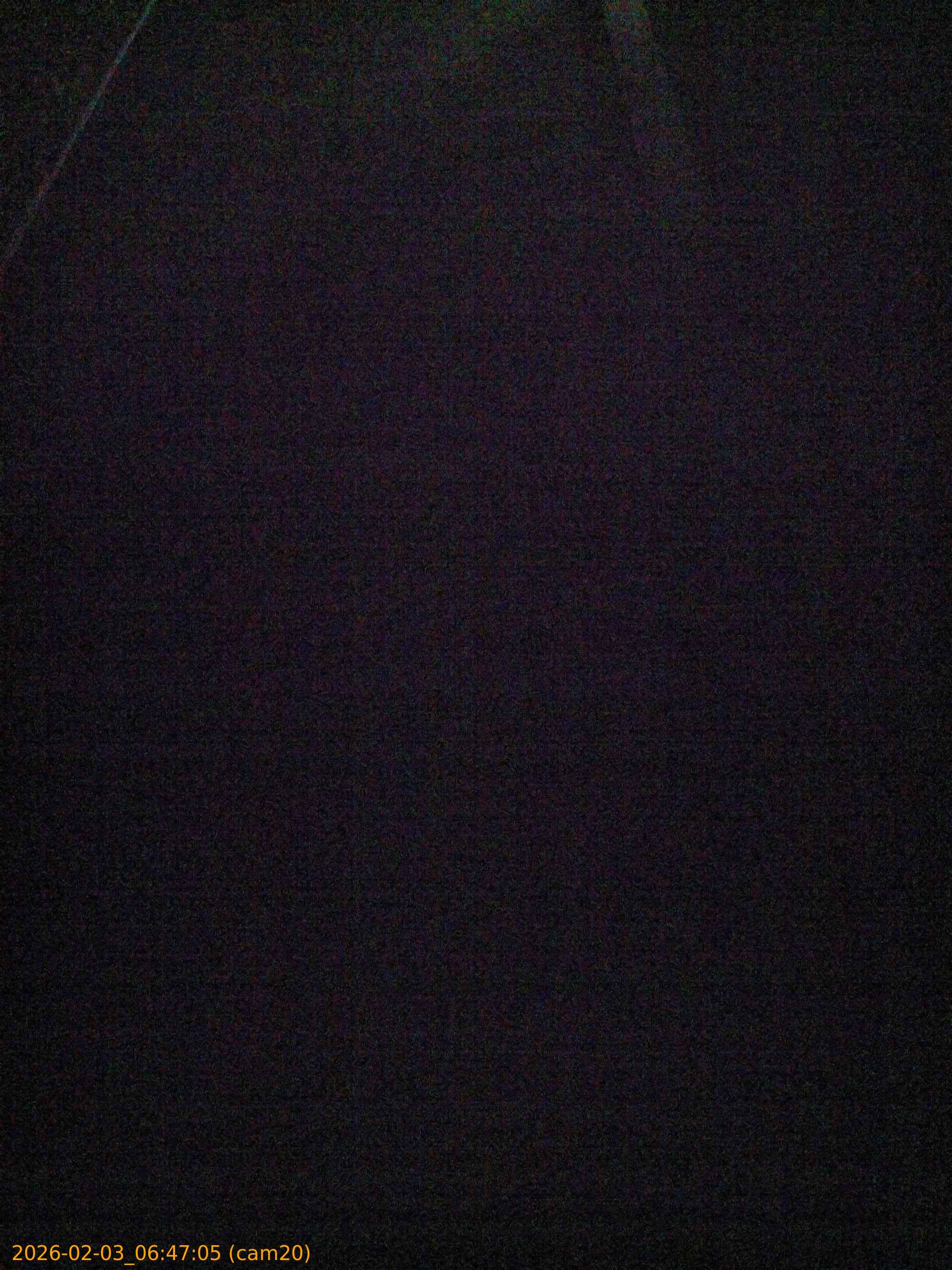 thumbnail_20260203064704