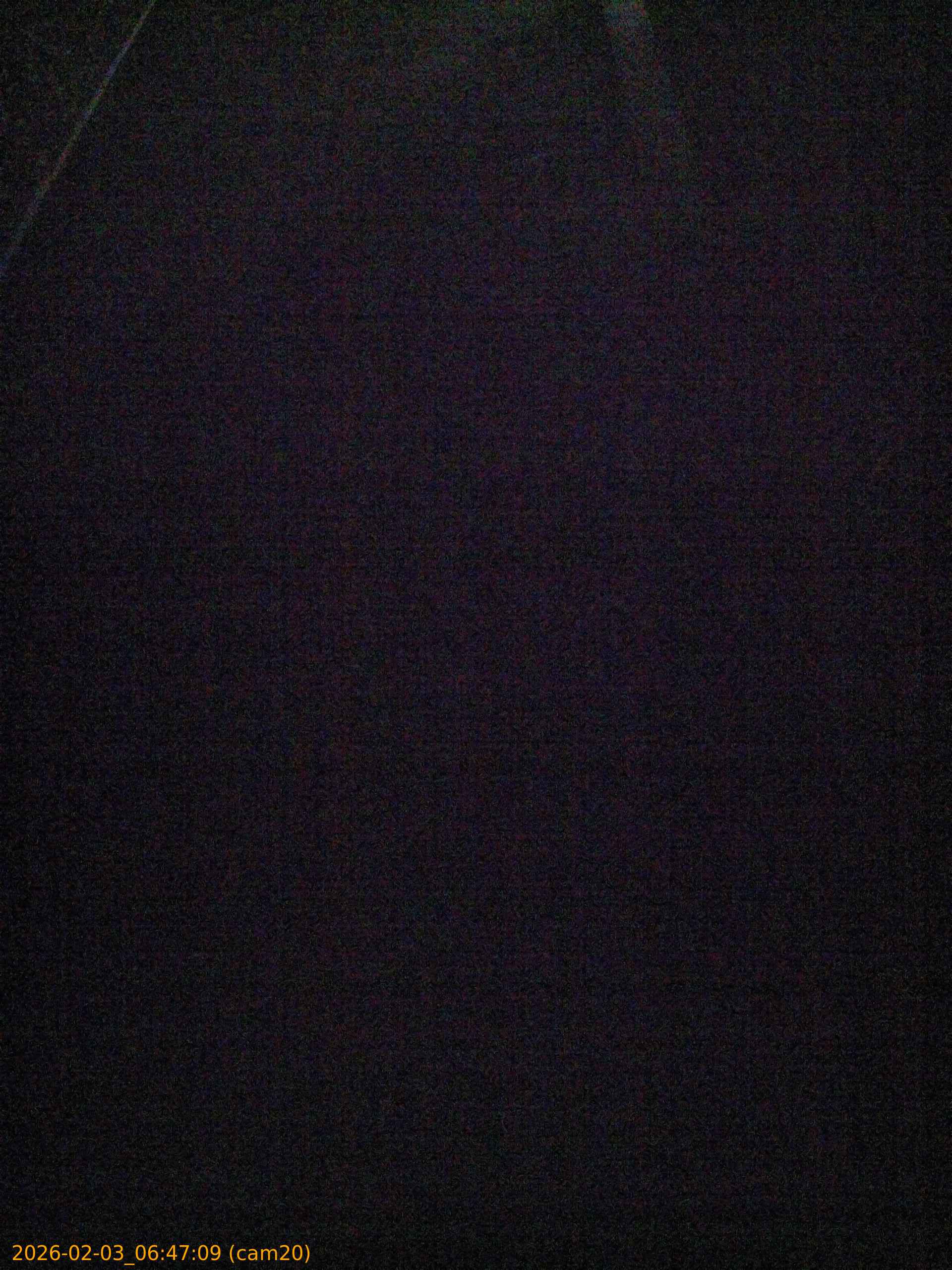 thumbnail_20260203064709