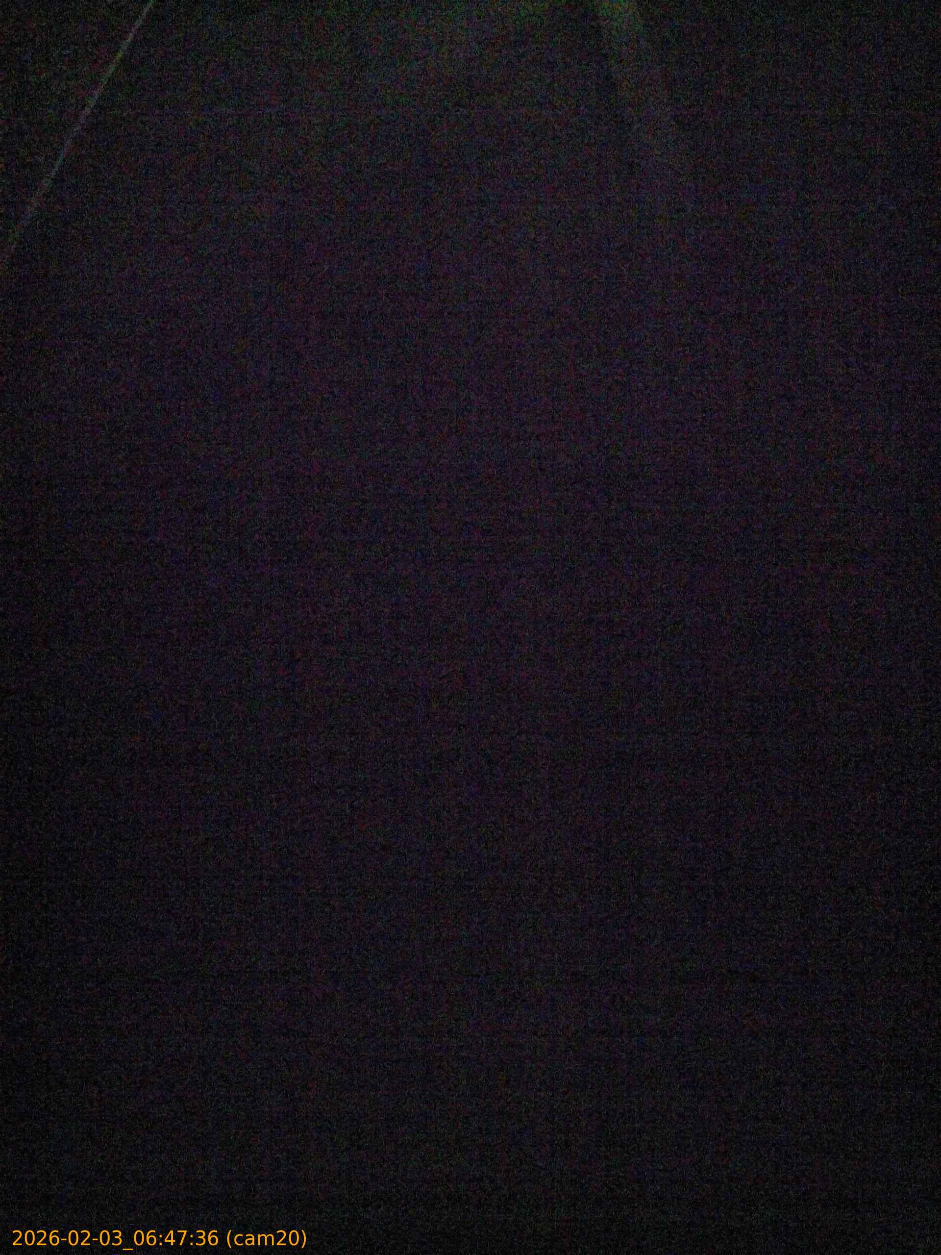 thumbnail_20260203064736