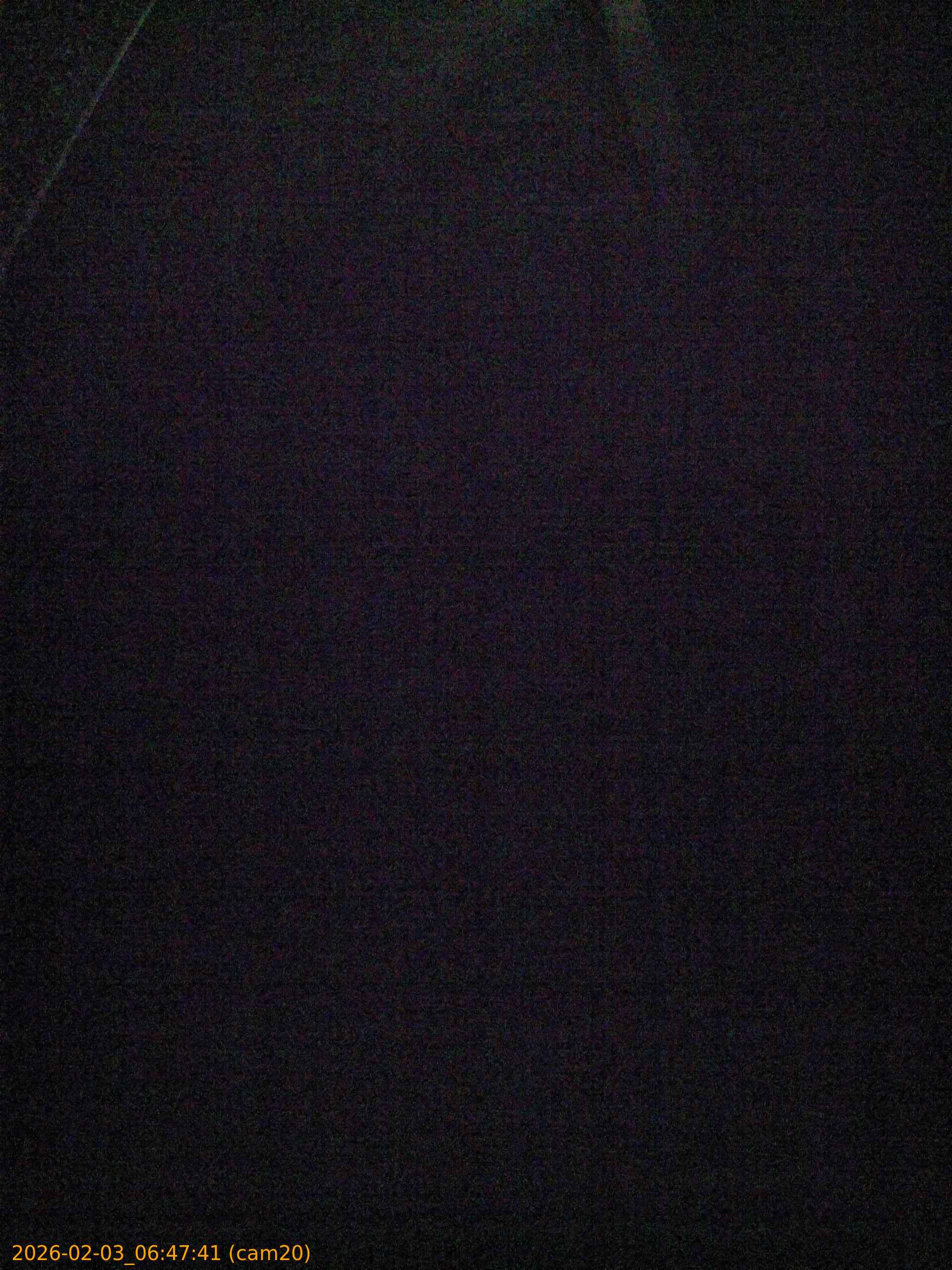 thumbnail_20260203064741