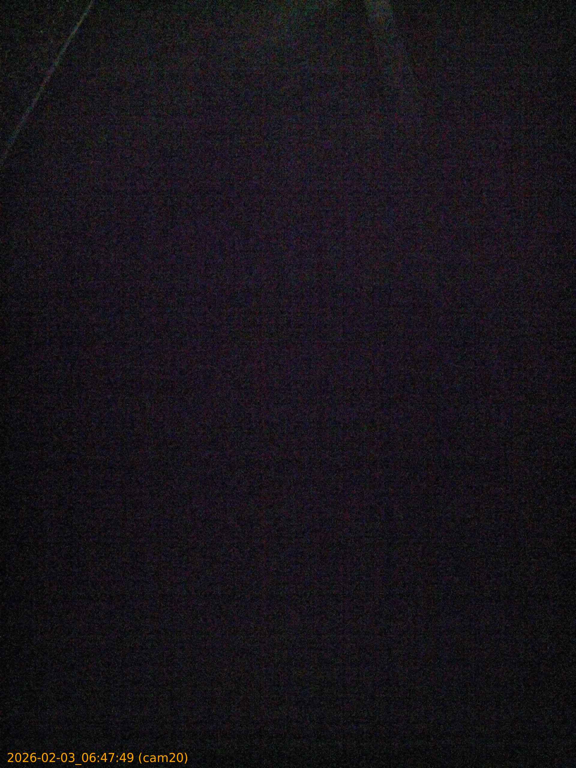 thumbnail_20260203064749