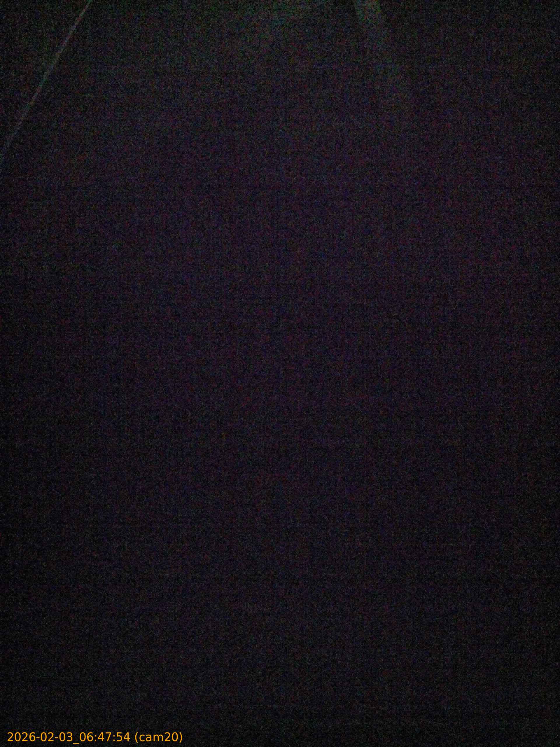 thumbnail_20260203064754