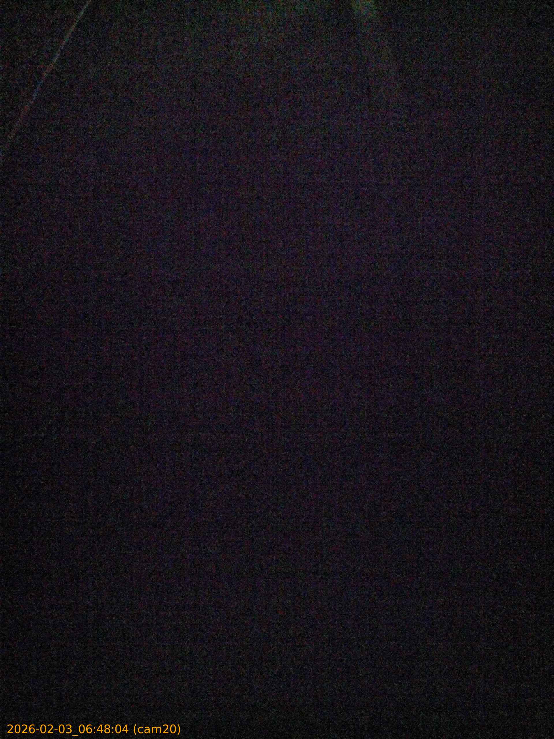 thumbnail_20260203064804