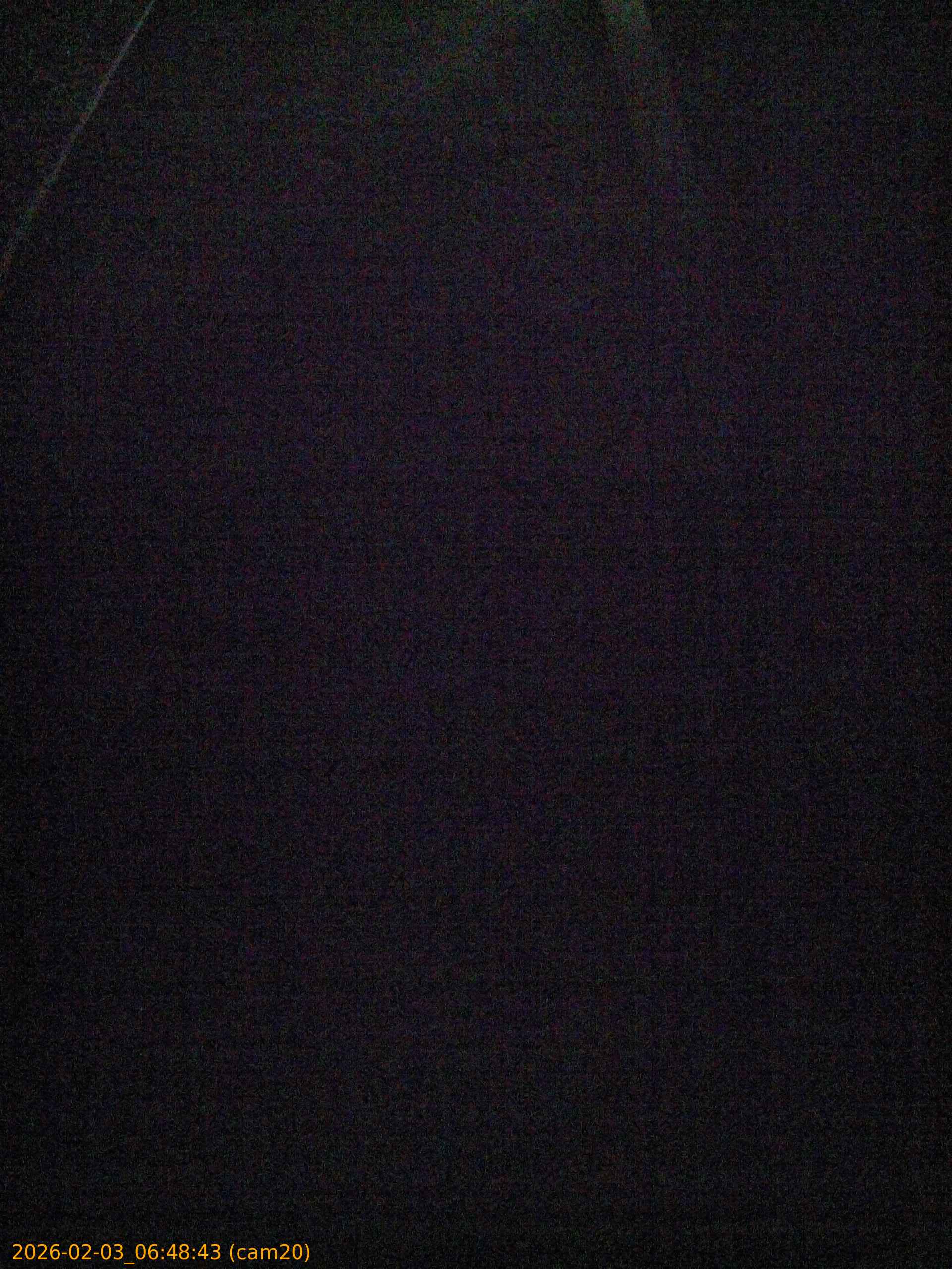 thumbnail_20260203064843