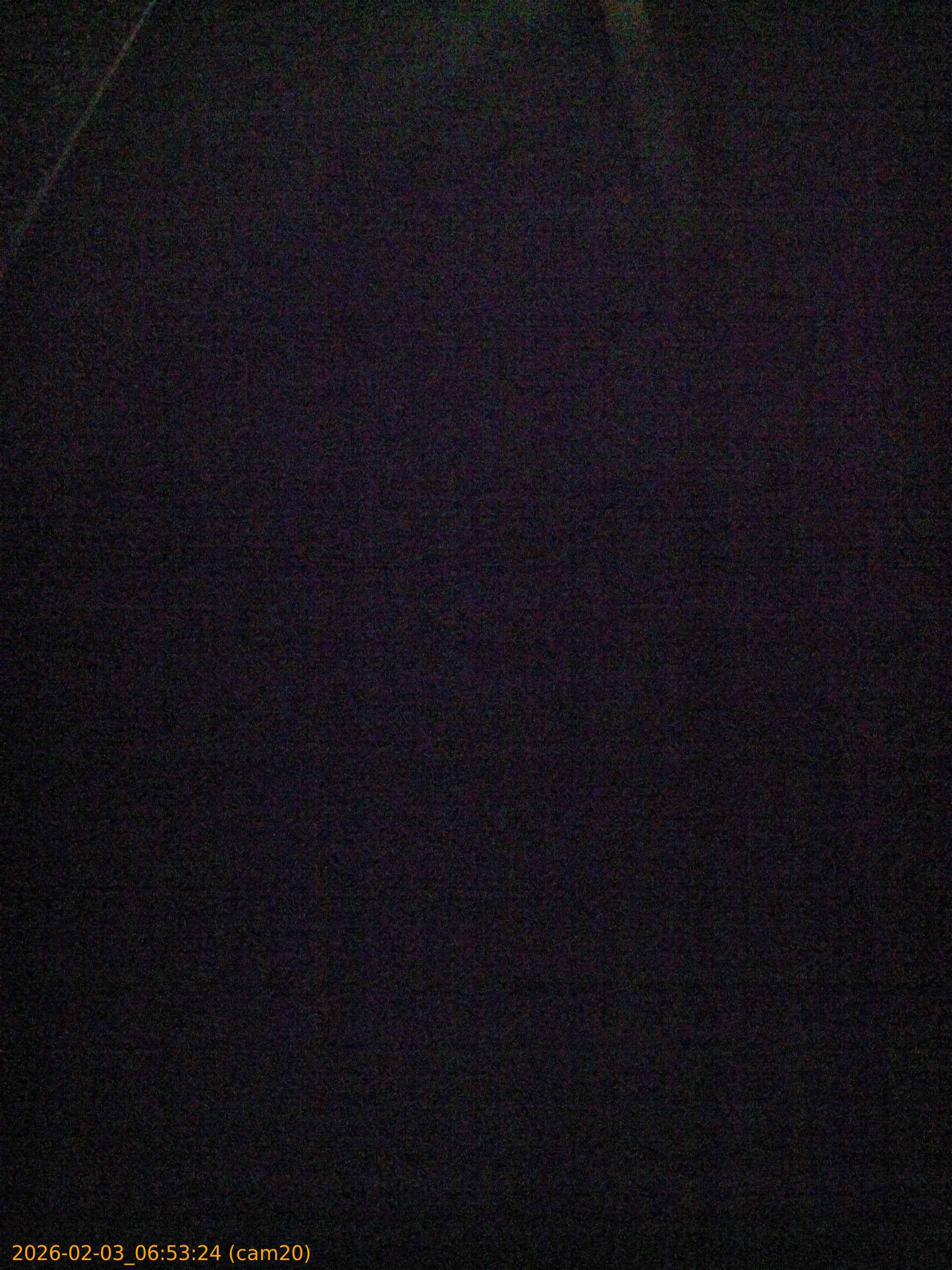 thumbnail_20260203065324