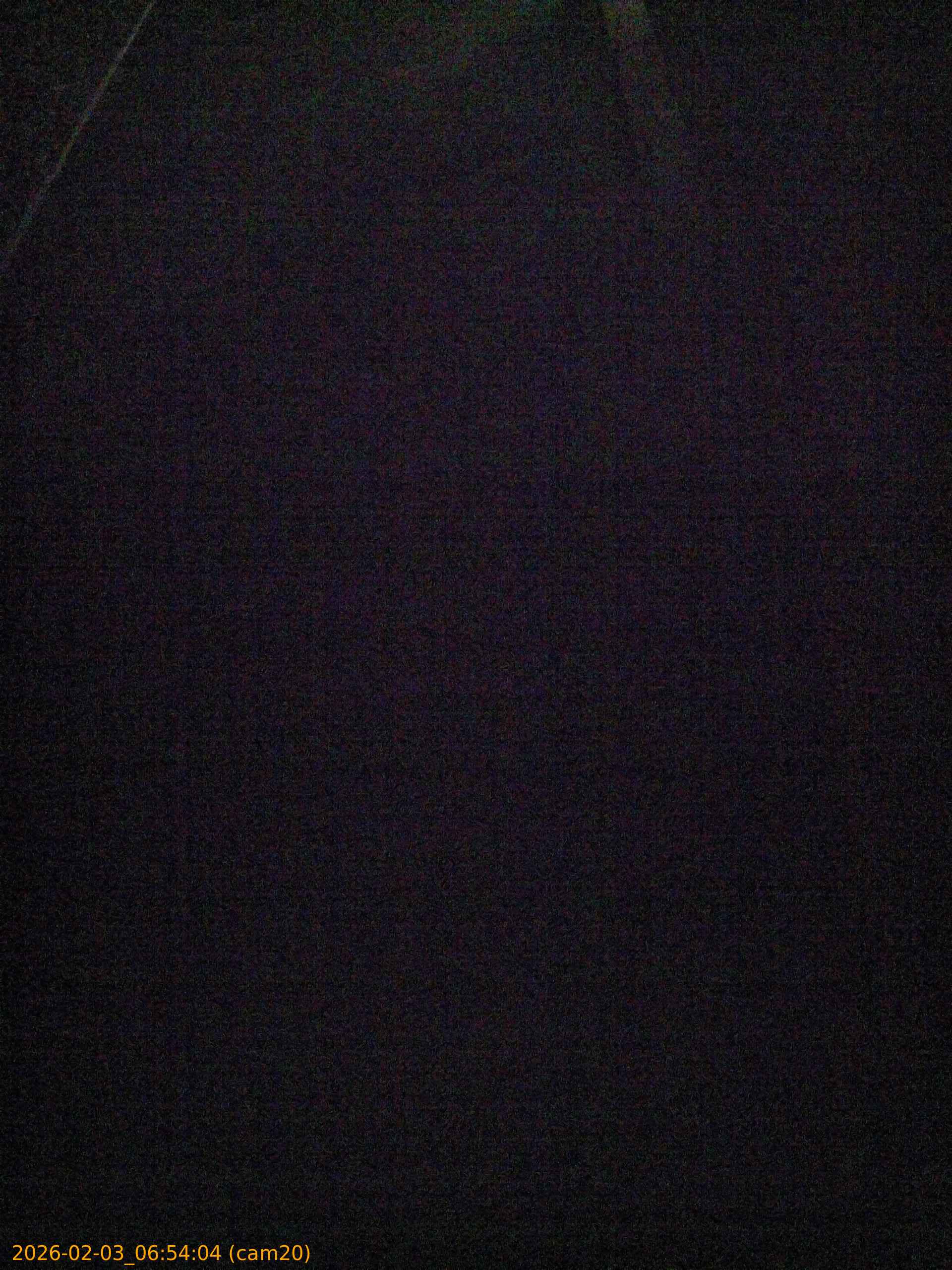 thumbnail_20260203065404