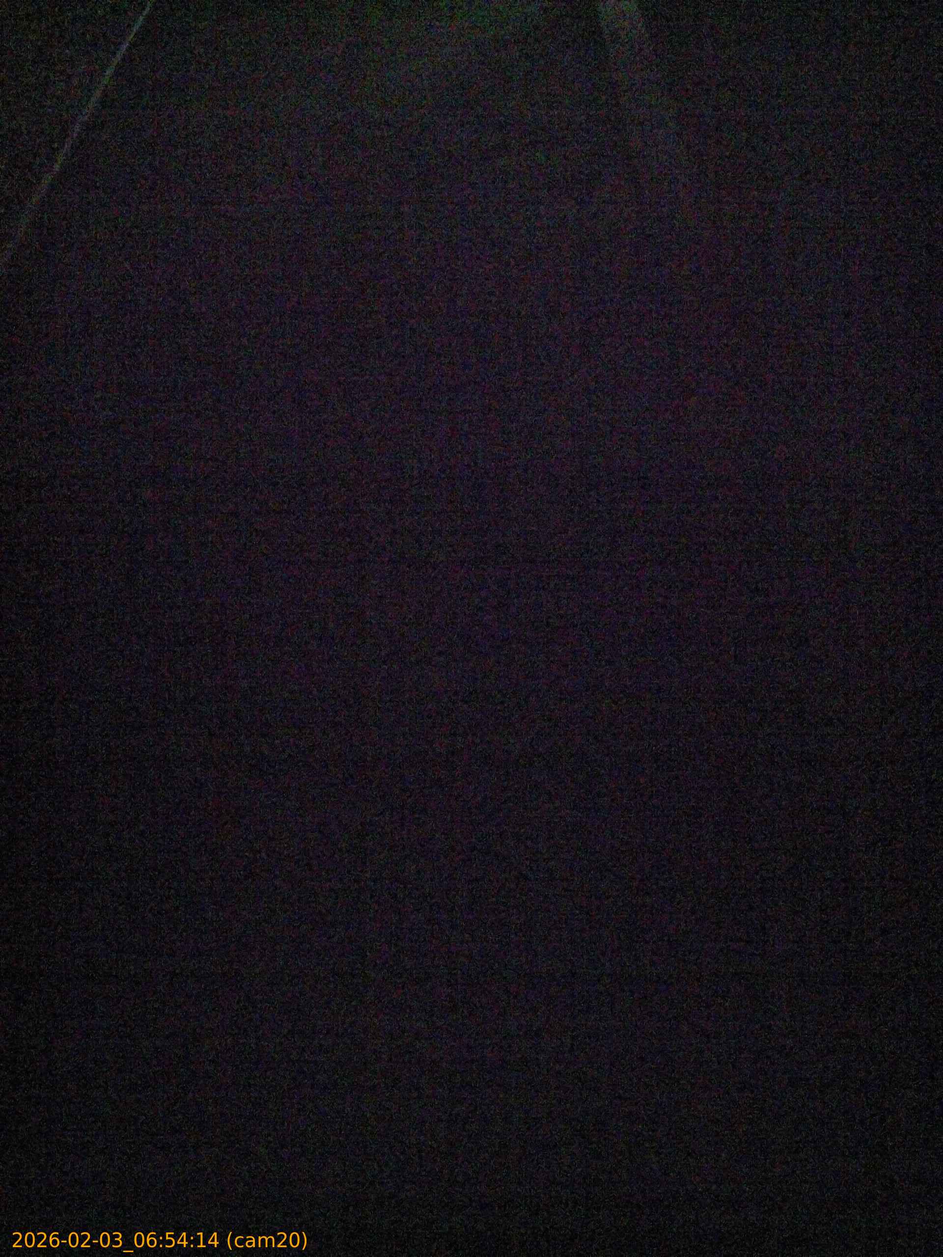 thumbnail_20260203065414