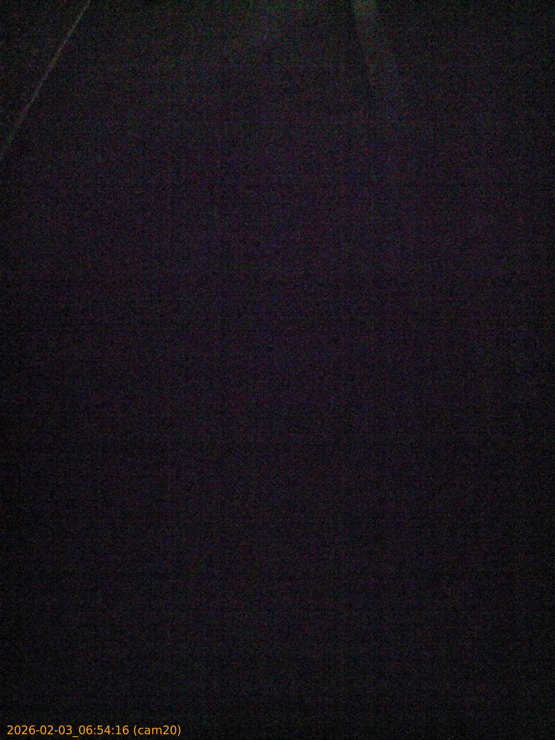 thumbnail_20260203065416