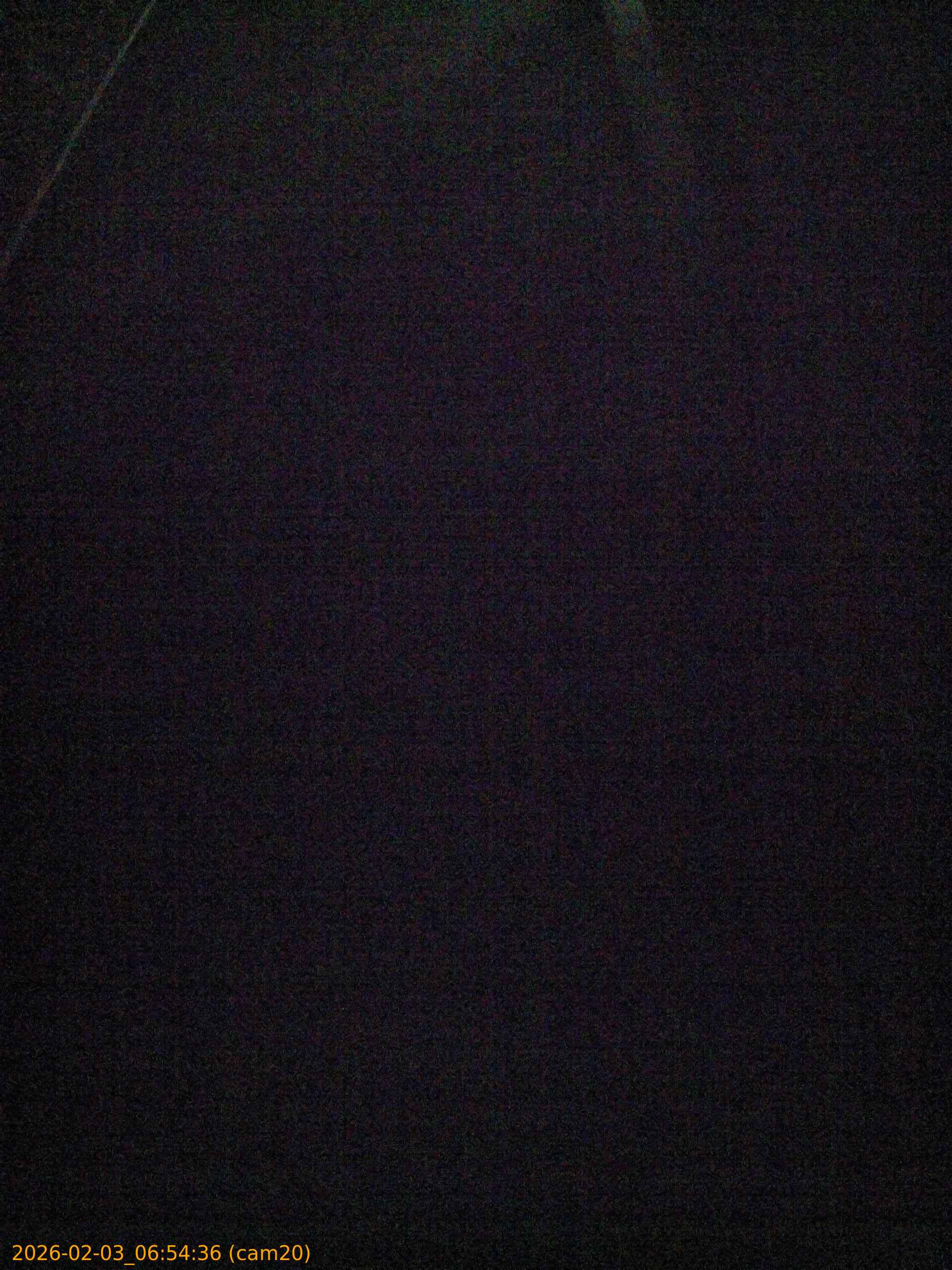 thumbnail_20260203065436