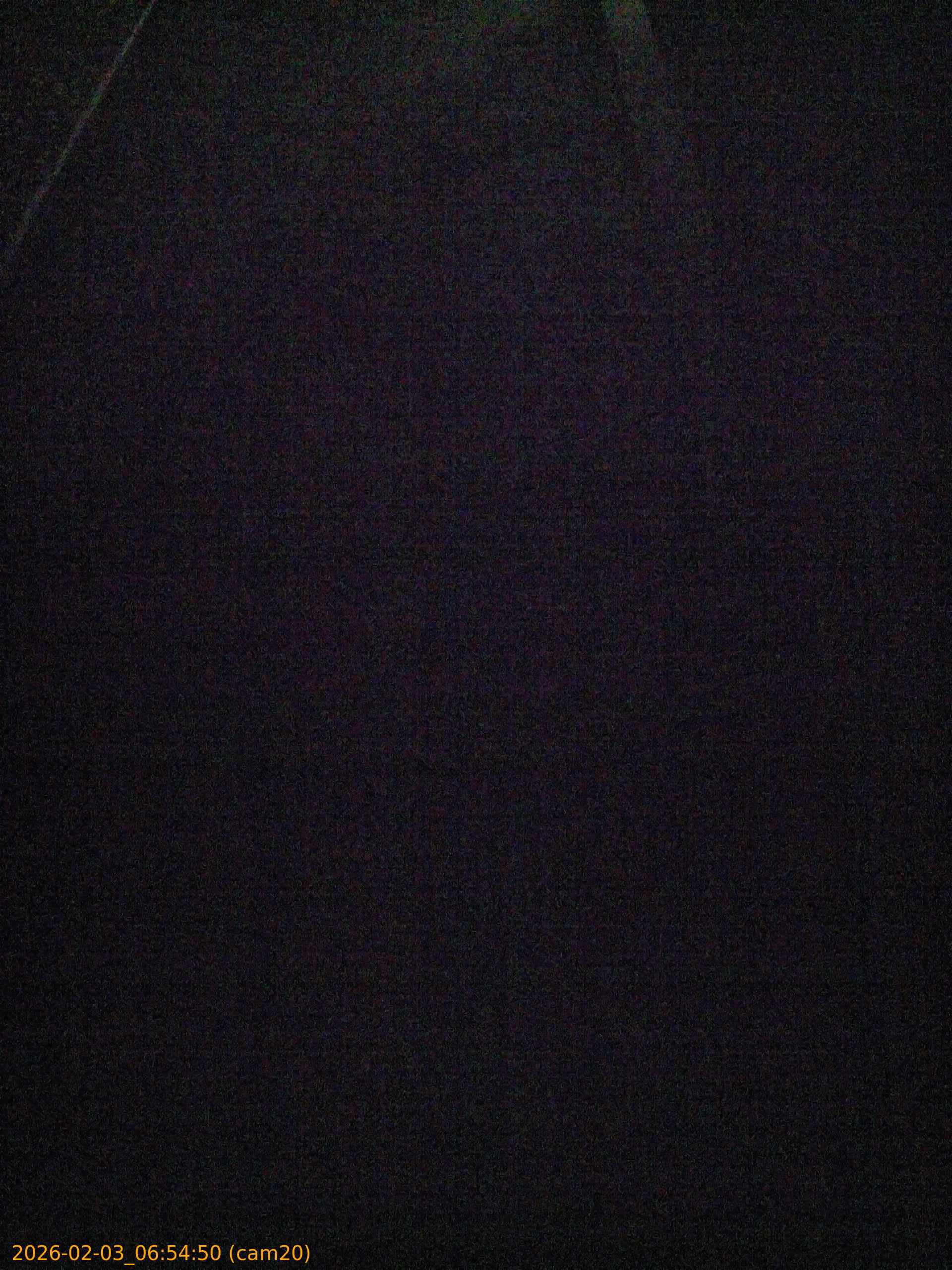 thumbnail_20260203065450