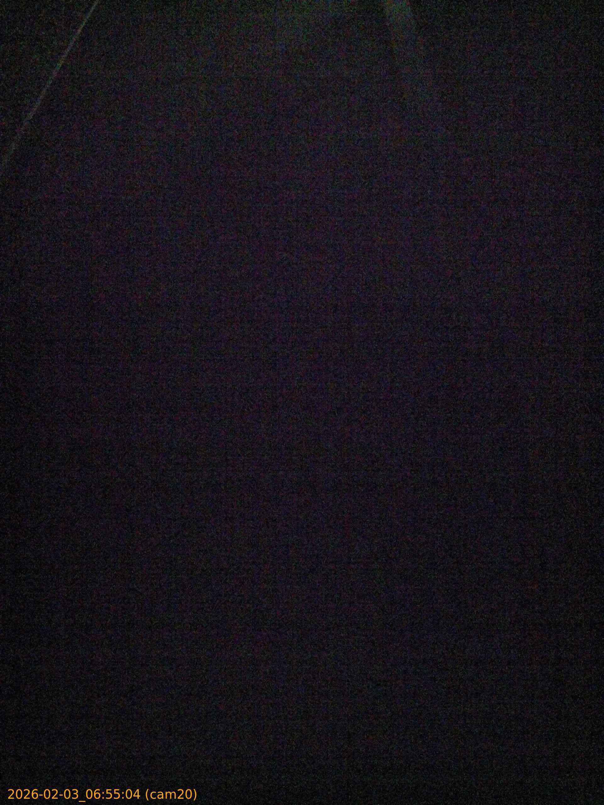 thumbnail_20260203065504