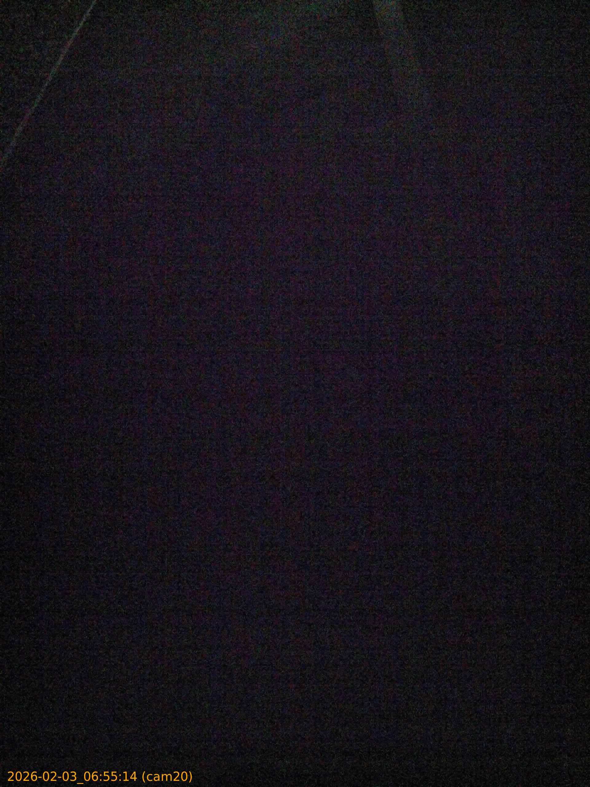 thumbnail_20260203065514