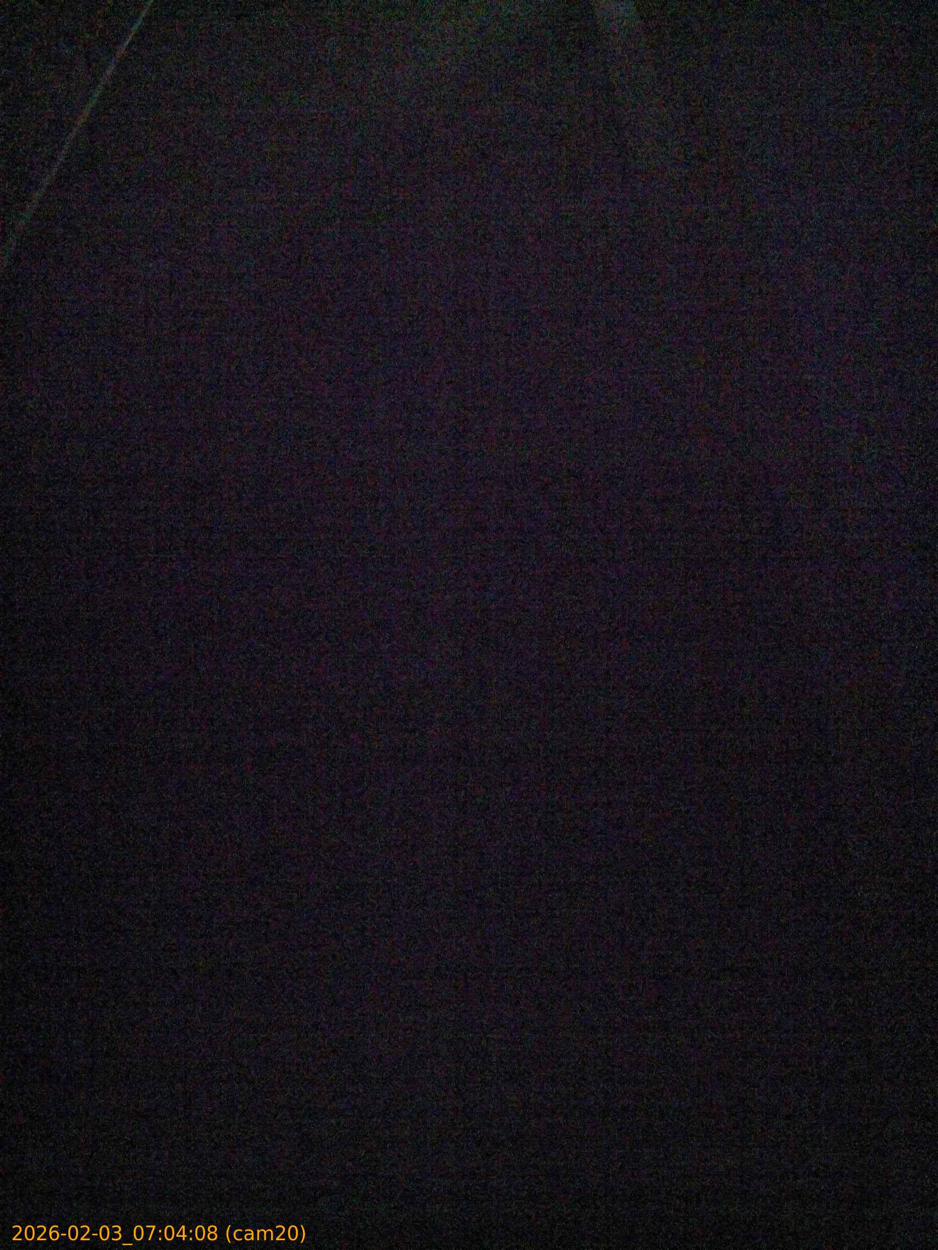 thumbnail_20260203070408