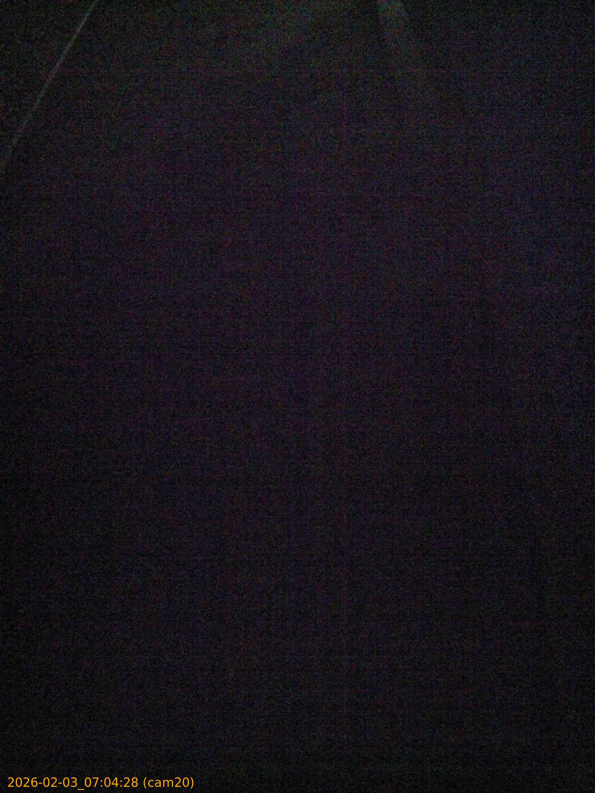 thumbnail_20260203070428